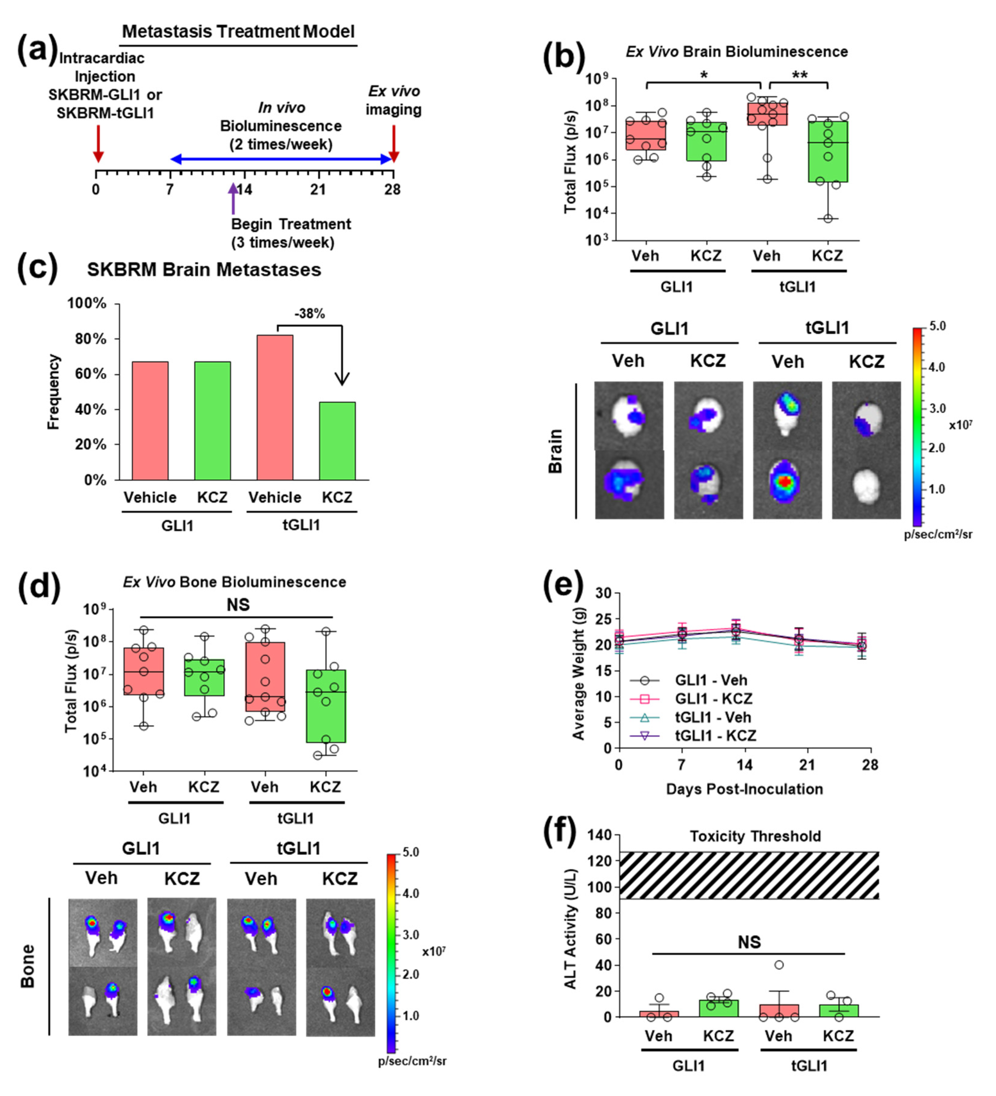 Cancers 14 04256 g004 Cancers 14 04256 g004