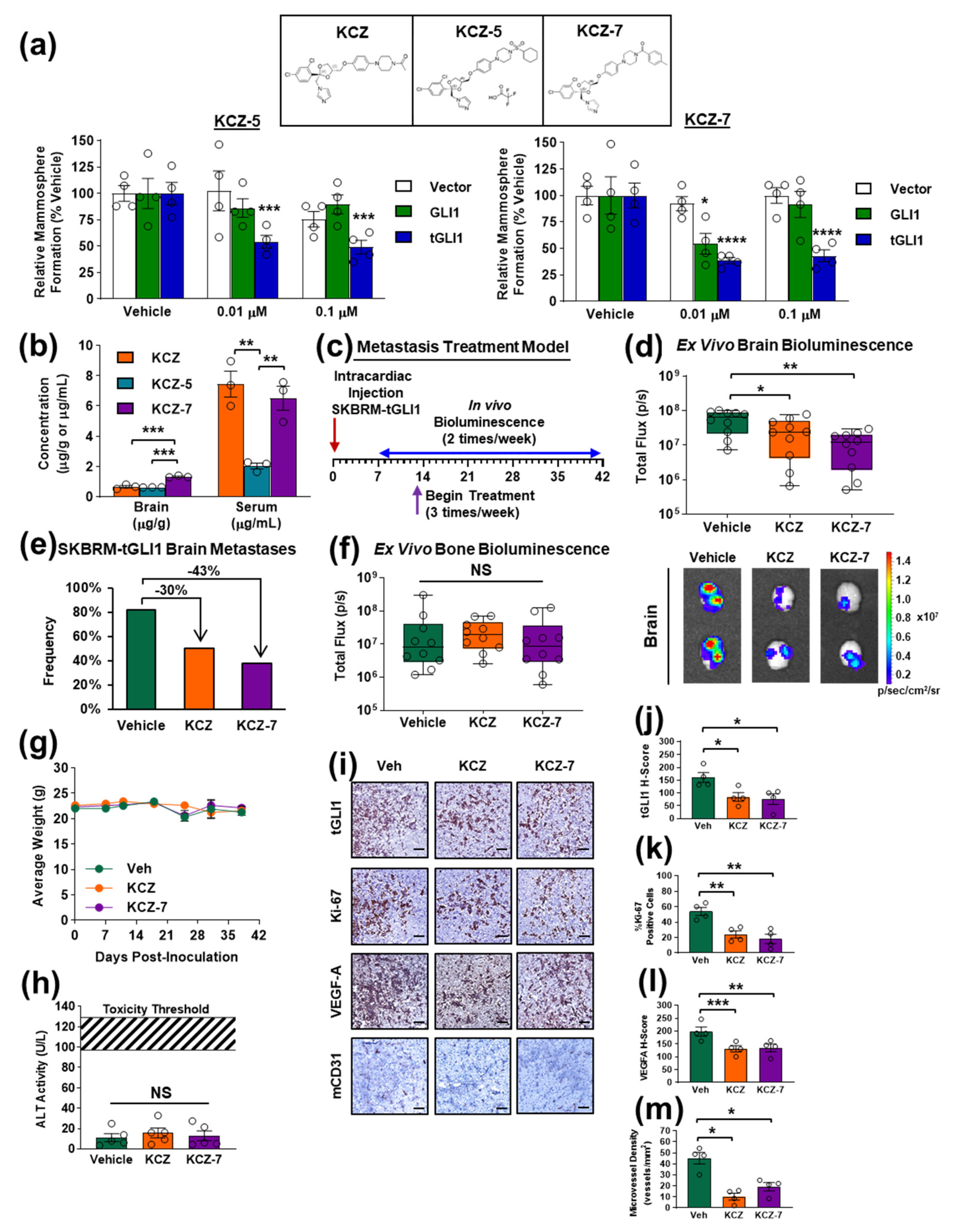 Cancers 14 04256 g005 Cancers 14 04256 g005