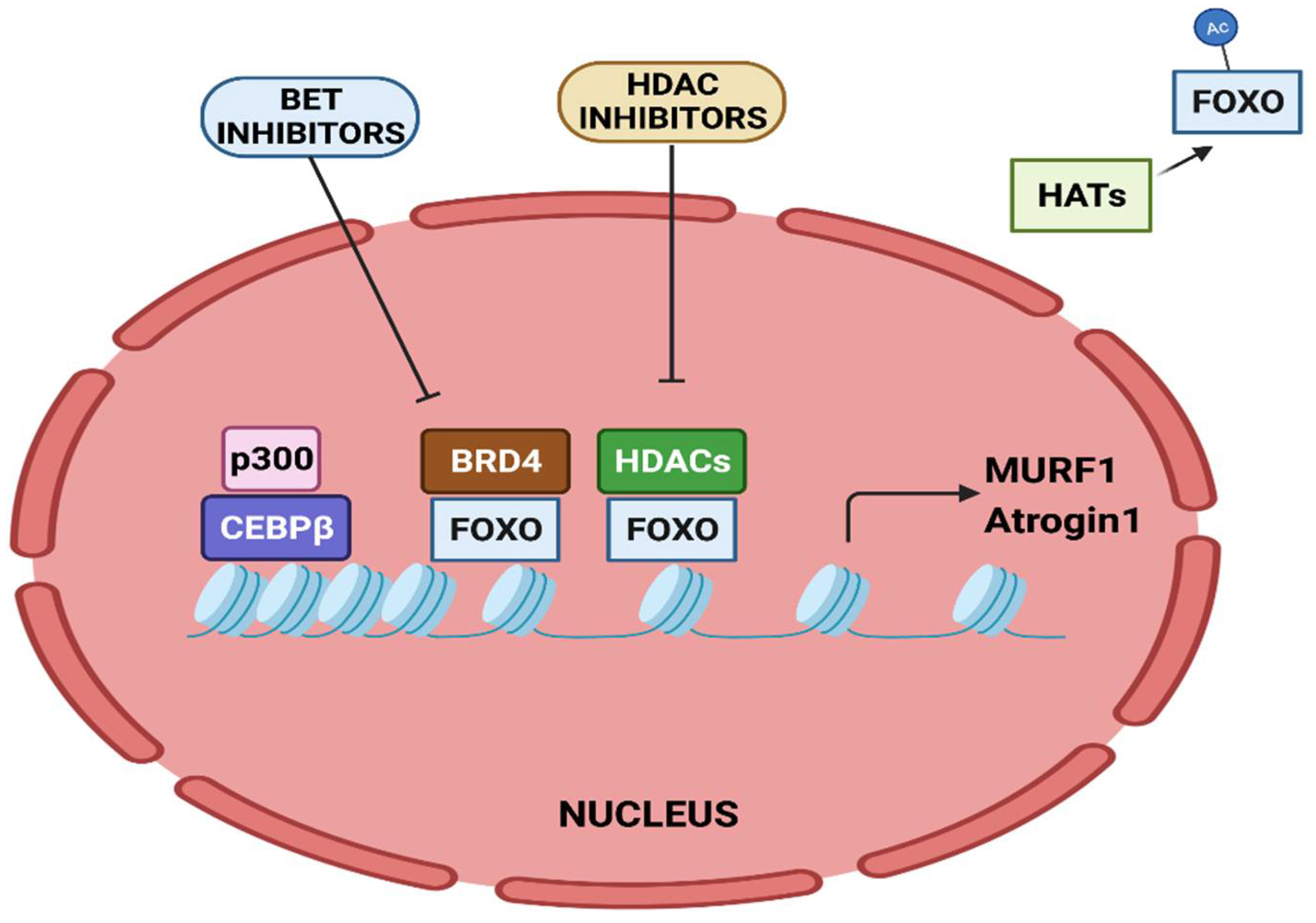 Cancers 14 04258 g003 Cancers 14 04258 g003