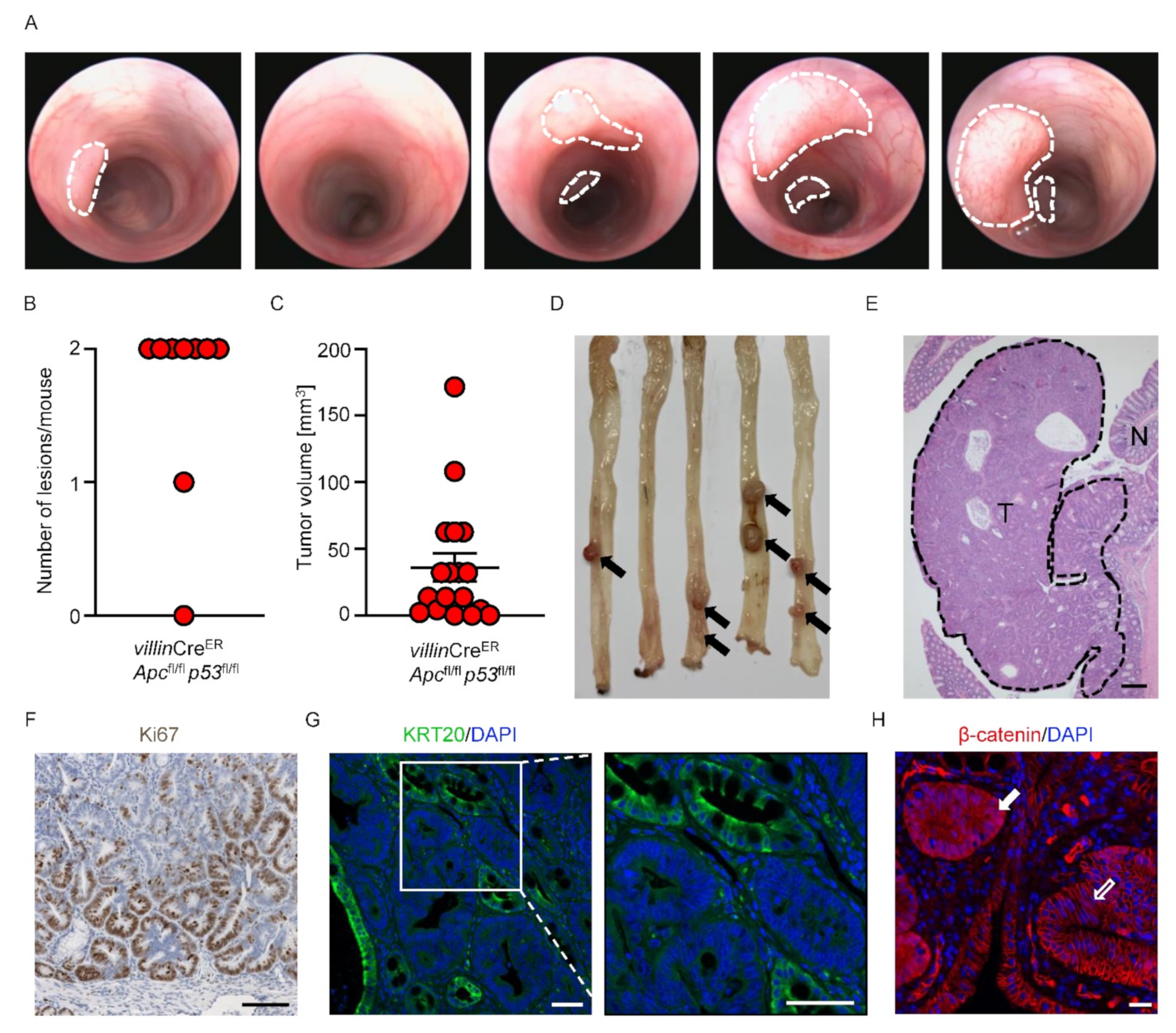 Cancers 14 04260 g002 Cancers 14 04260 g002