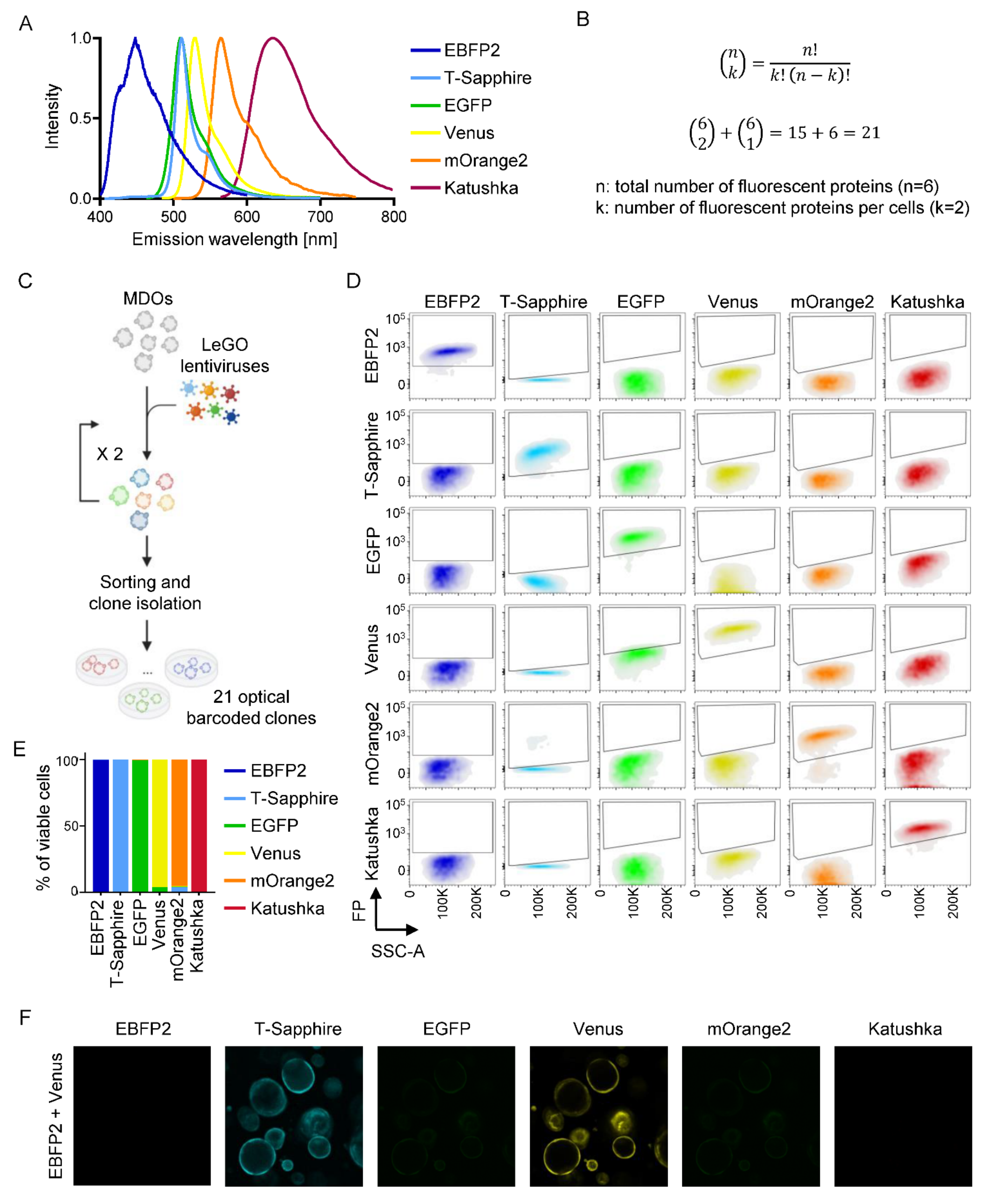 Cancers 14 04260 g005 Cancers 14 04260 g005