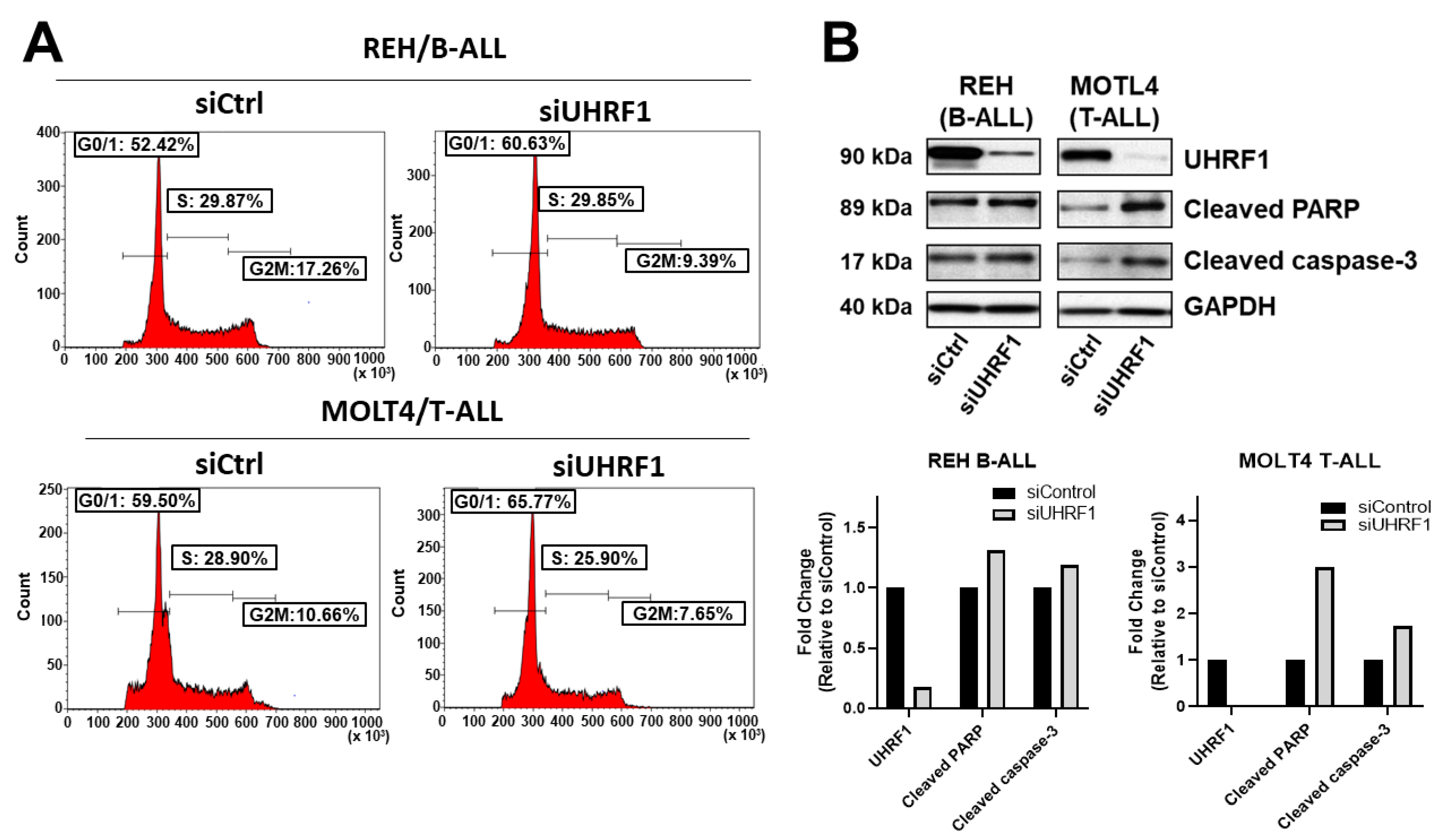 Cancers 14 04262 g004 Cancers 14 04262 g004