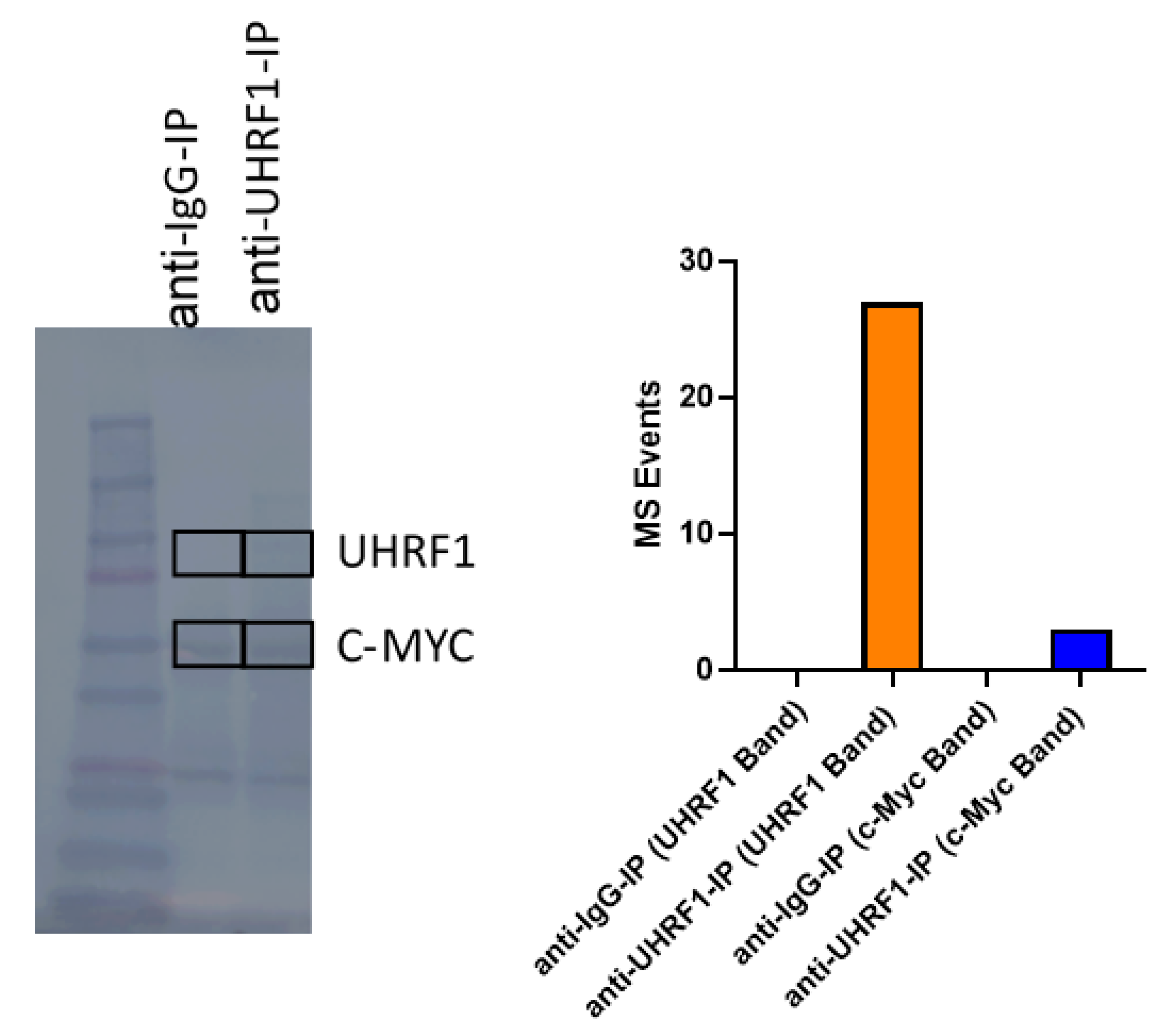 Cancers 14 04262 g0a4 Cancers 14 04262 g0a4