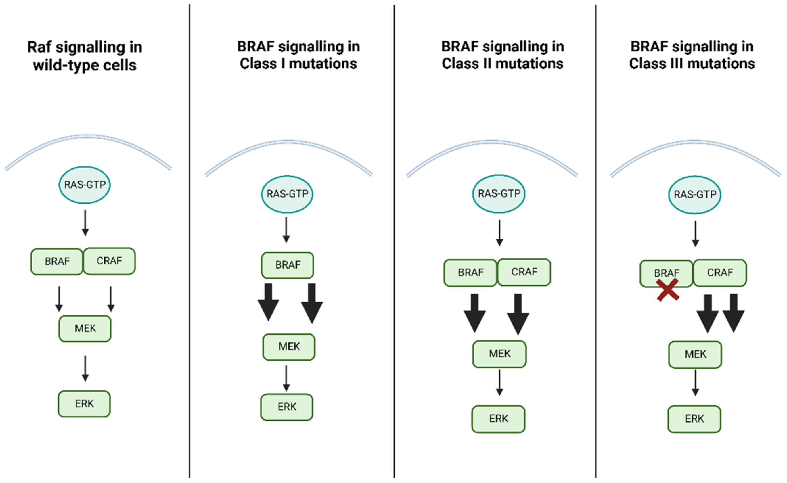 Cancers 14 04264 g002