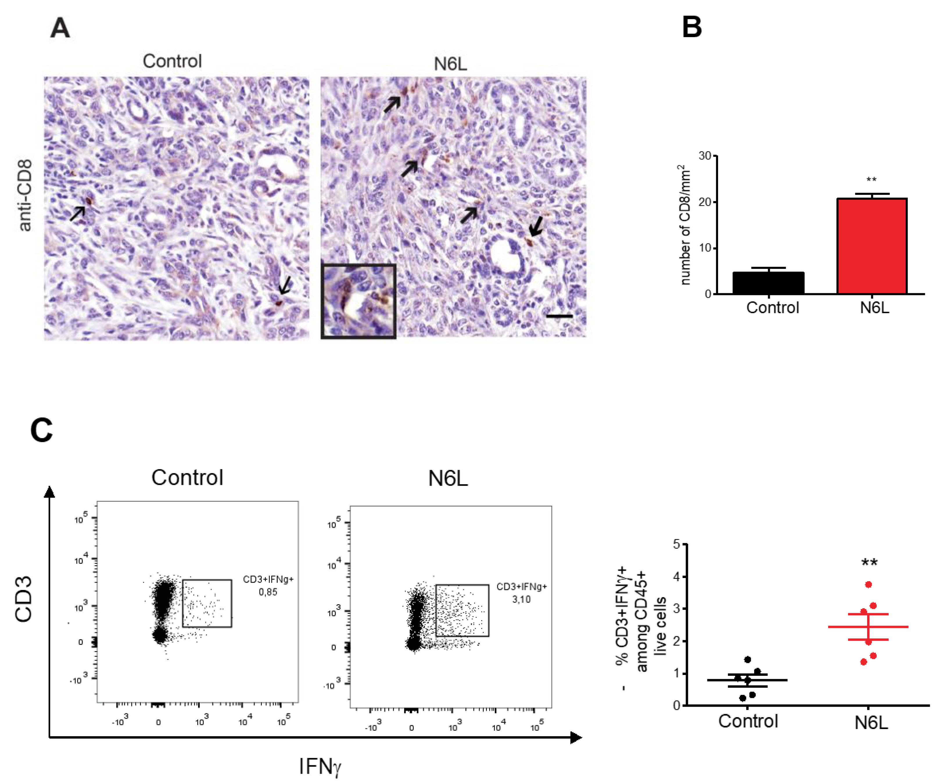 Cancers 14 04265 g003
