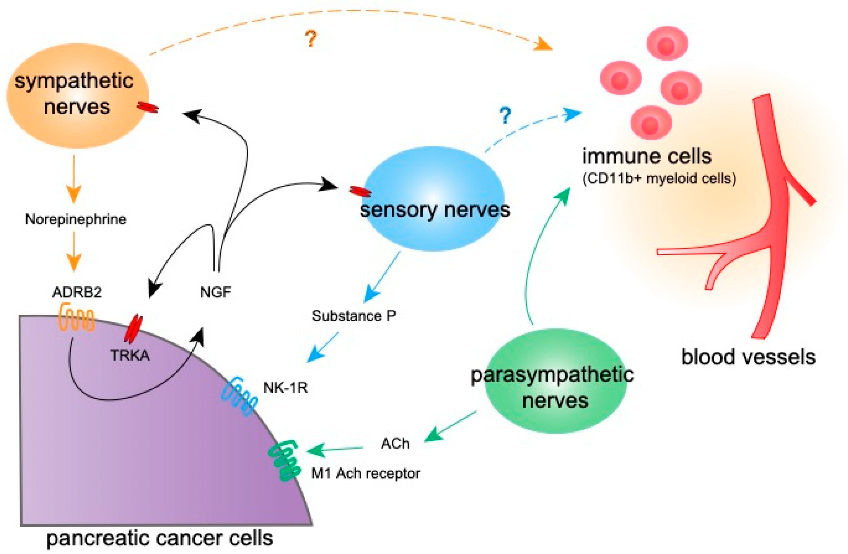 Cancers 14 04269 g002 Cancers 14 04269 g002