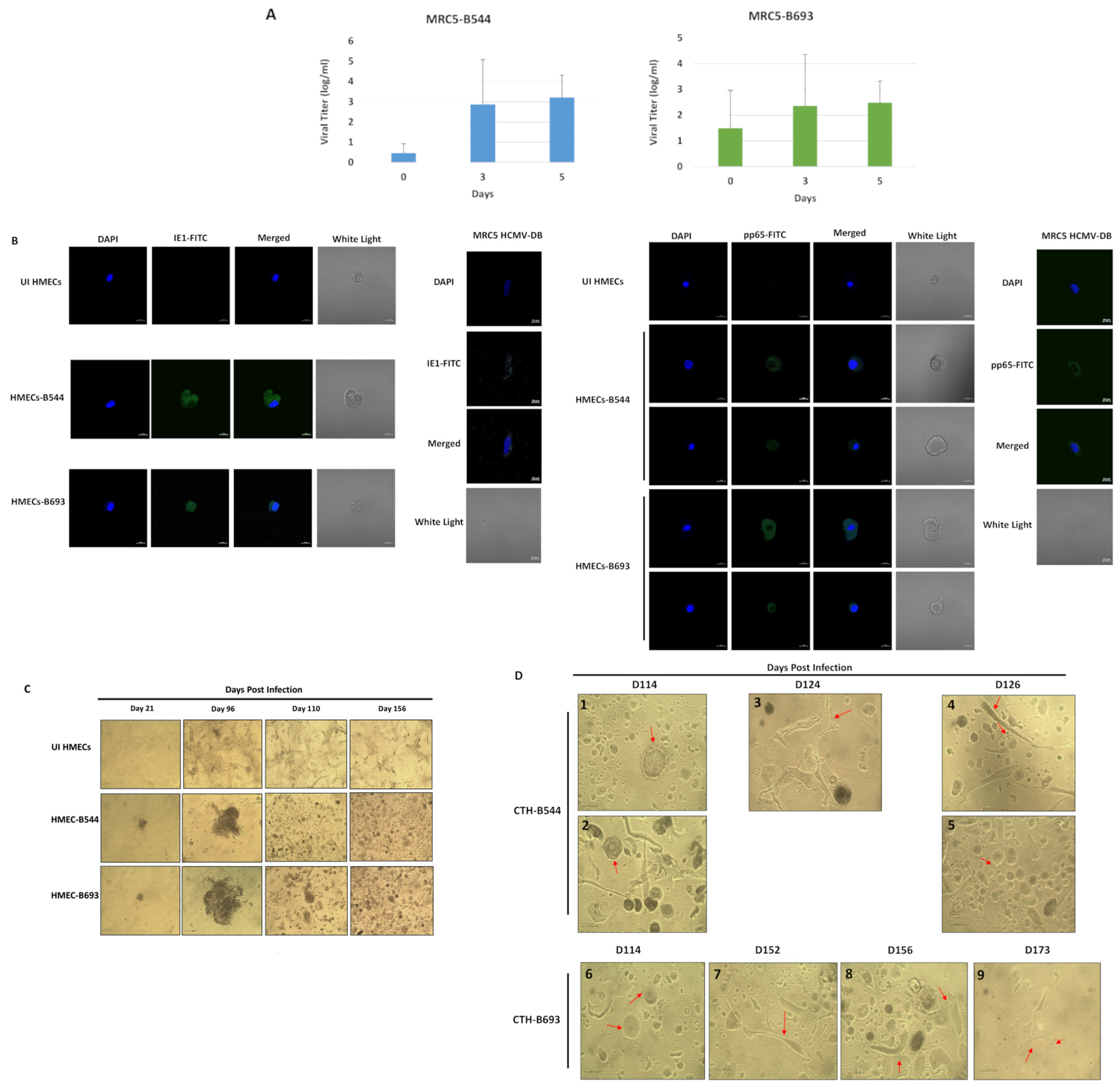 Cancers 14 04271 g001 550