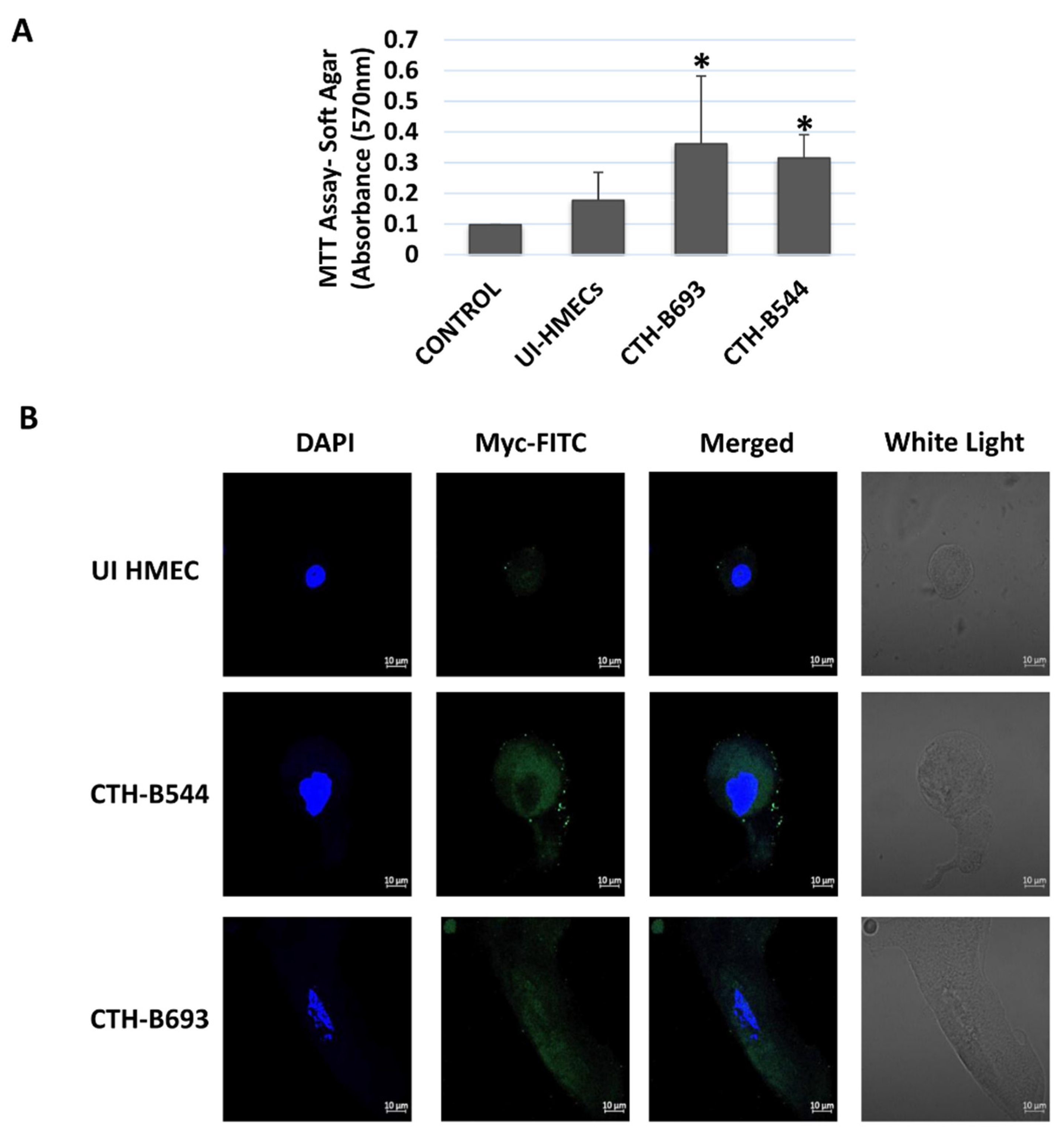 Cancers 14 04271 g002 550