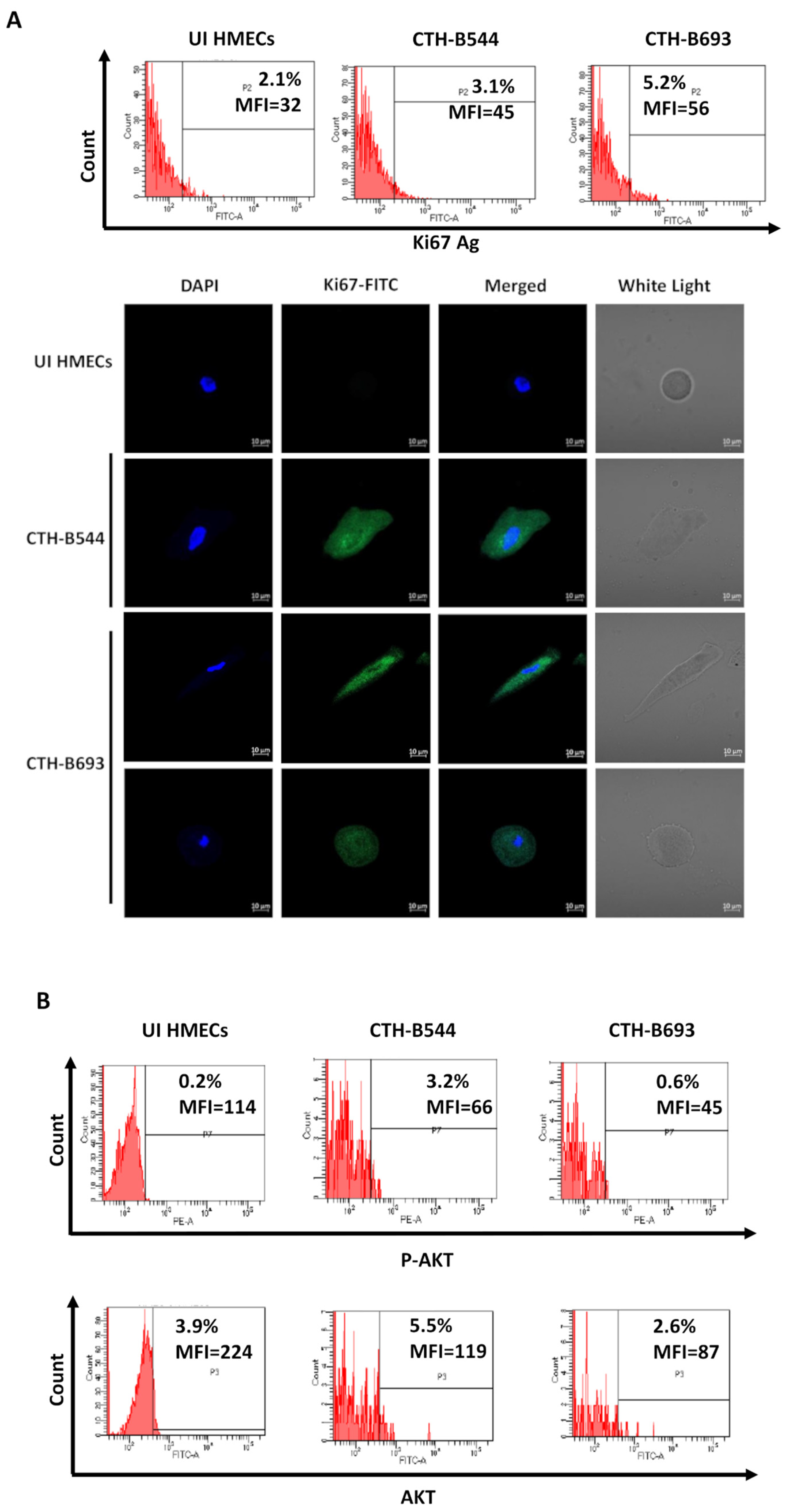 Cancers 14 04271 g003 550