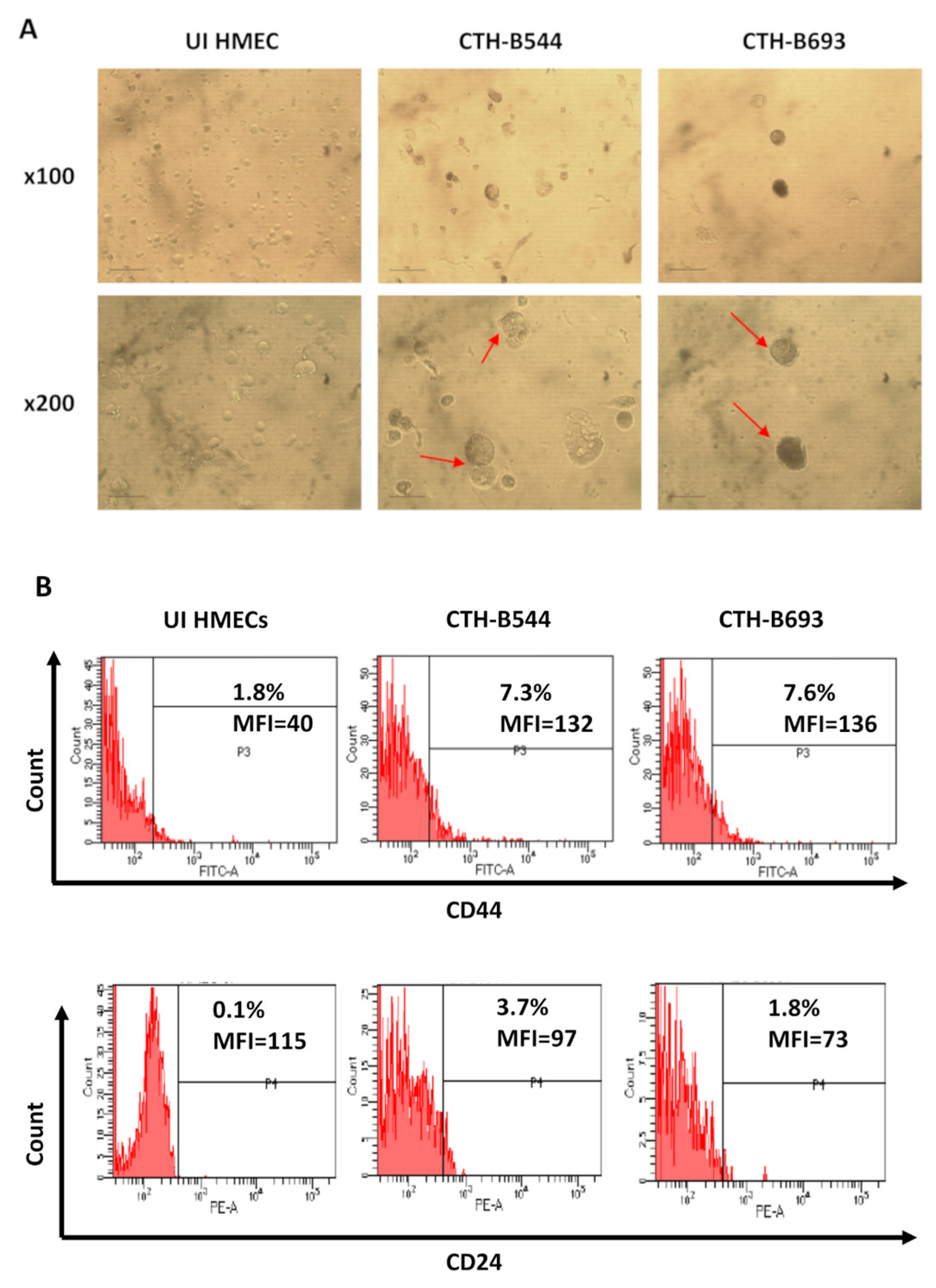 Cancers 14 04271 g004 550