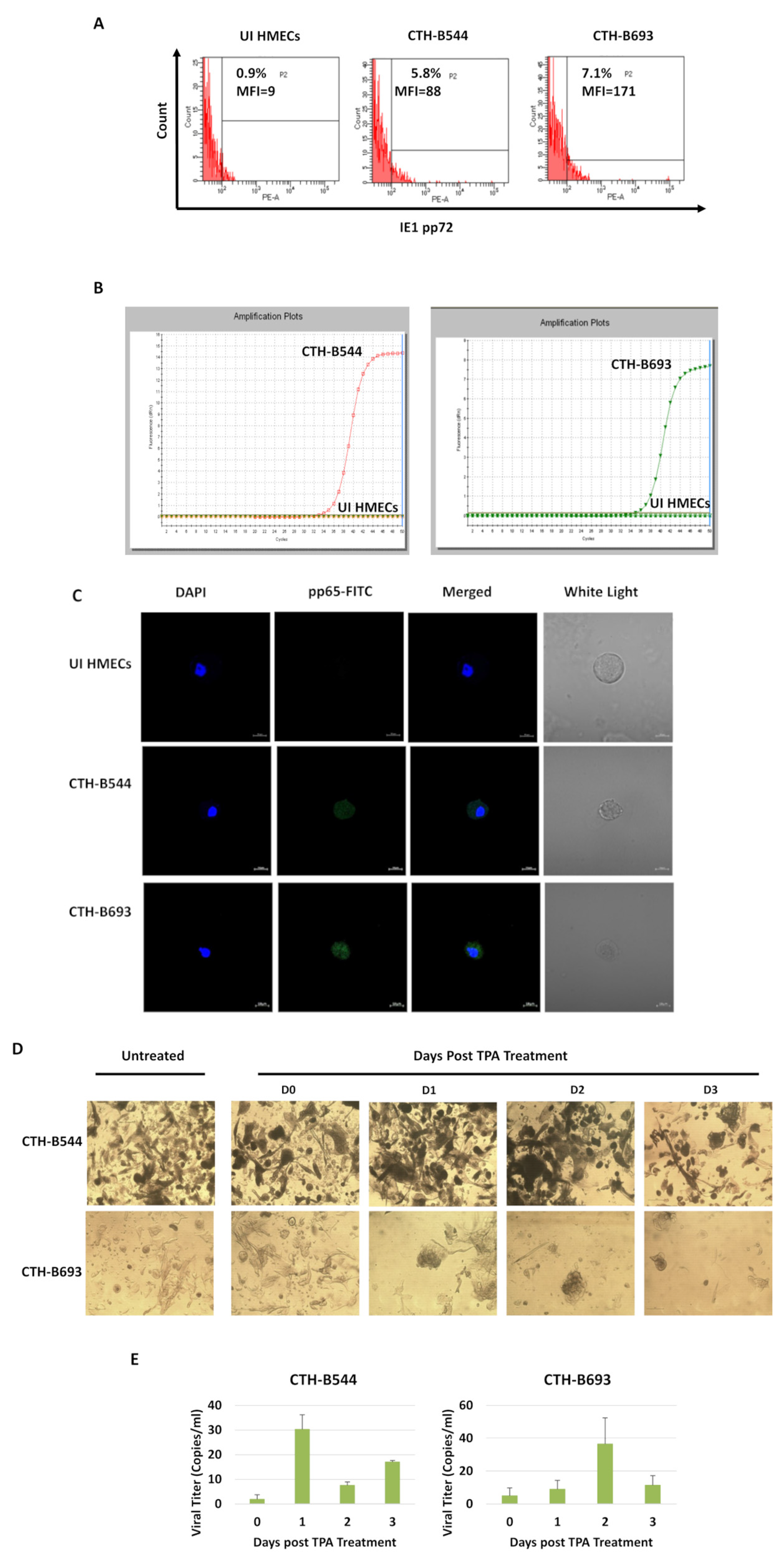 Cancers 14 04271 g007 550