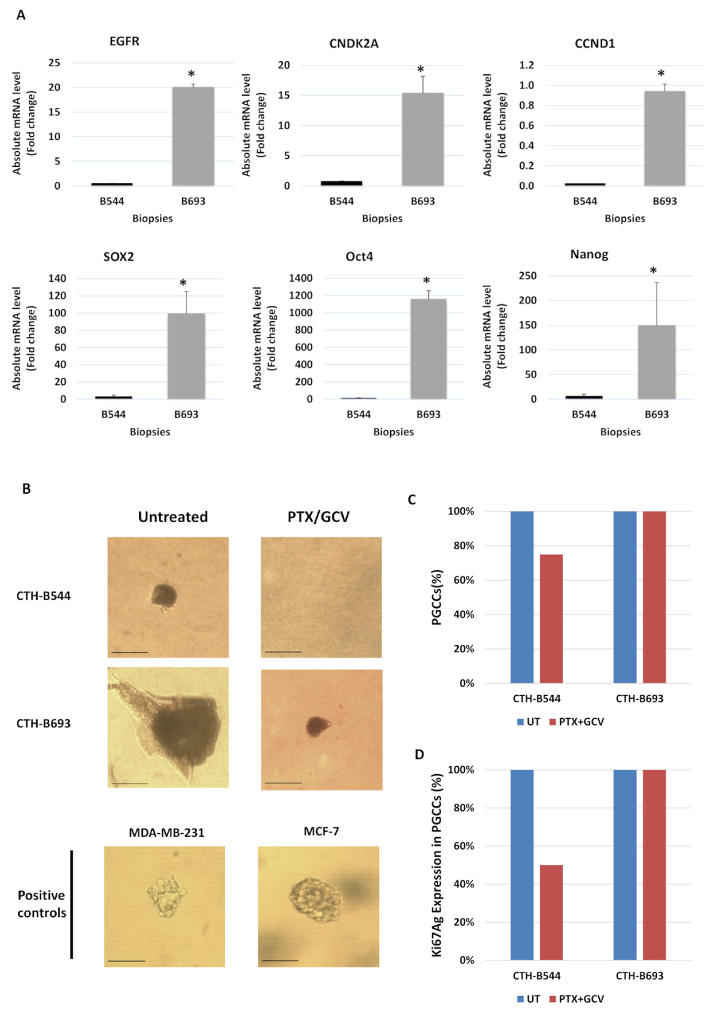 Cancers 14 04271 g008 550