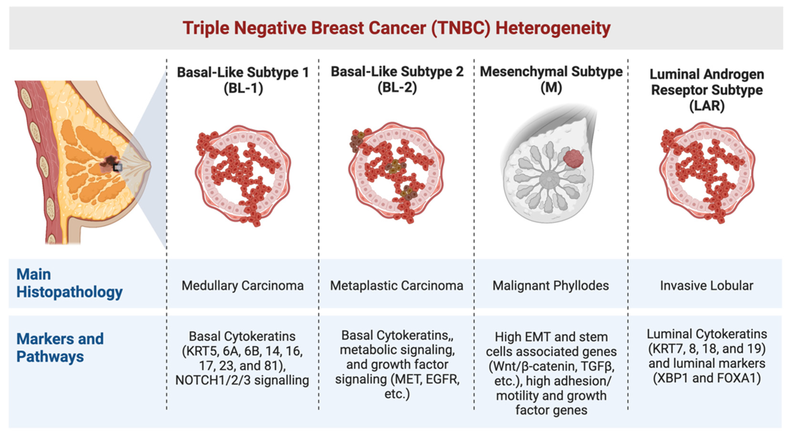 Breast cancer treatment flow diagram. (A). Early-stage breast cancer.