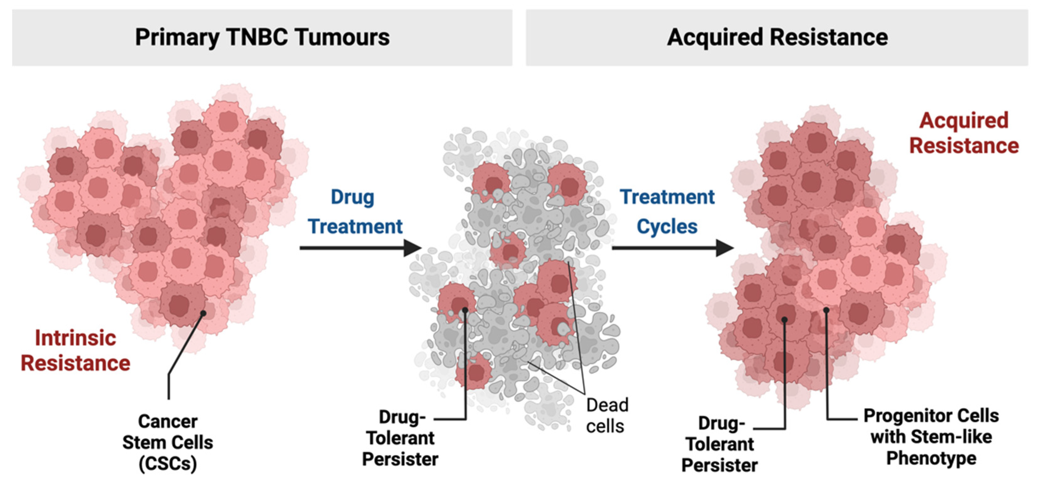 Cancers Free FullText Challenges for Triple Negative Breast Cancer