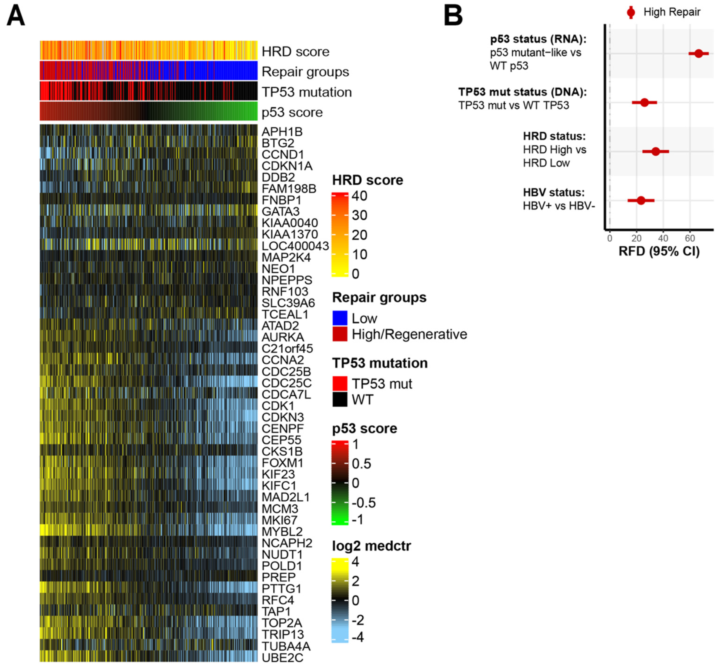 Cancers 14 04282 g002 Cancers 14 04282 g002