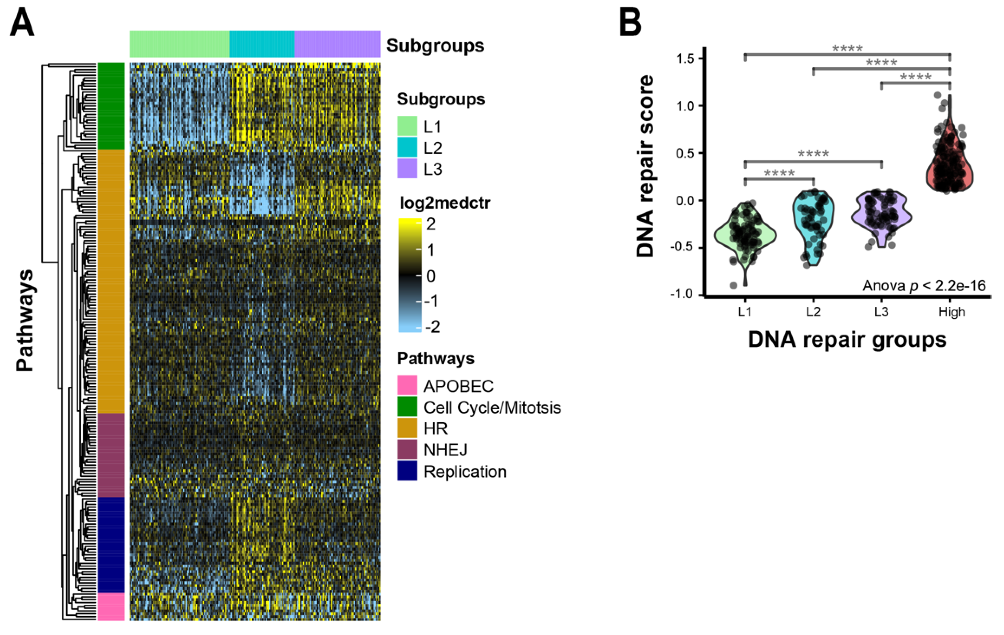Cancers 14 04282 g003 Cancers 14 04282 g003