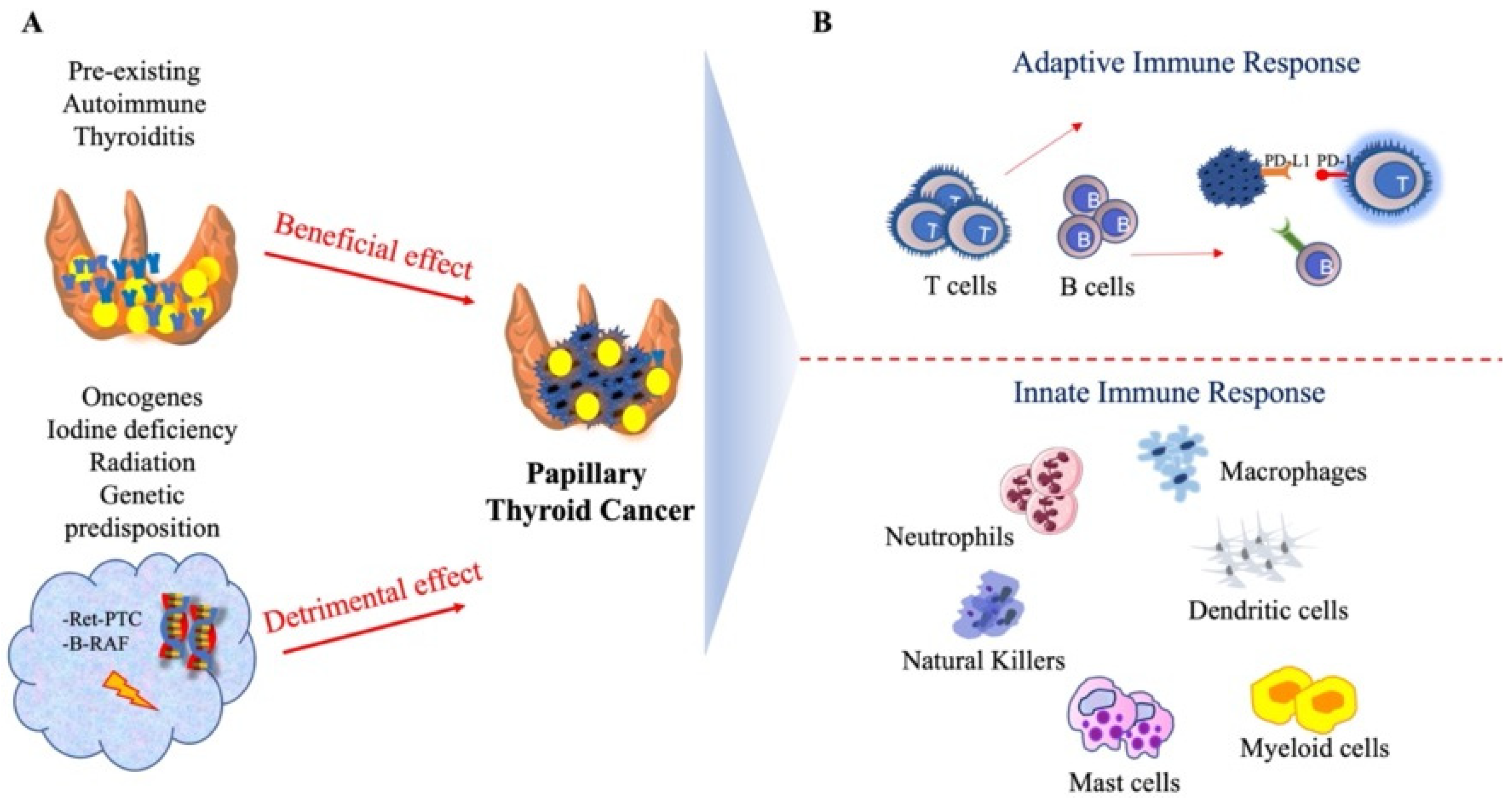 Cancers 14 04287 g003 550