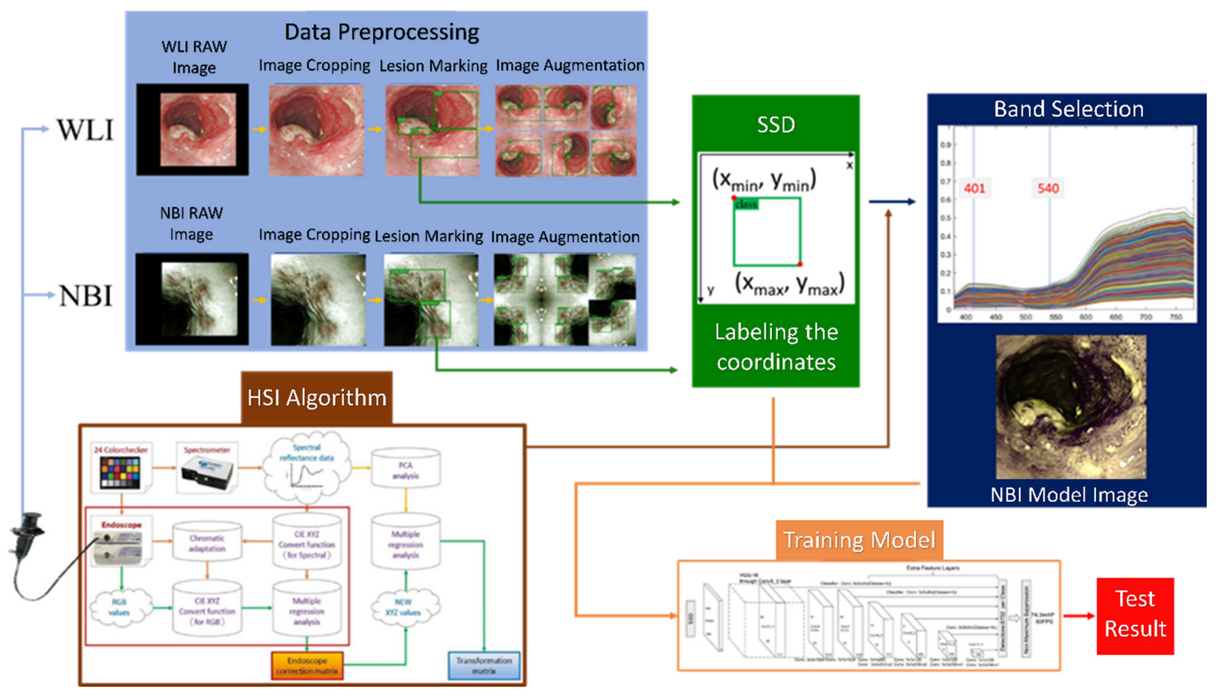 Cancers 14 04292 g001