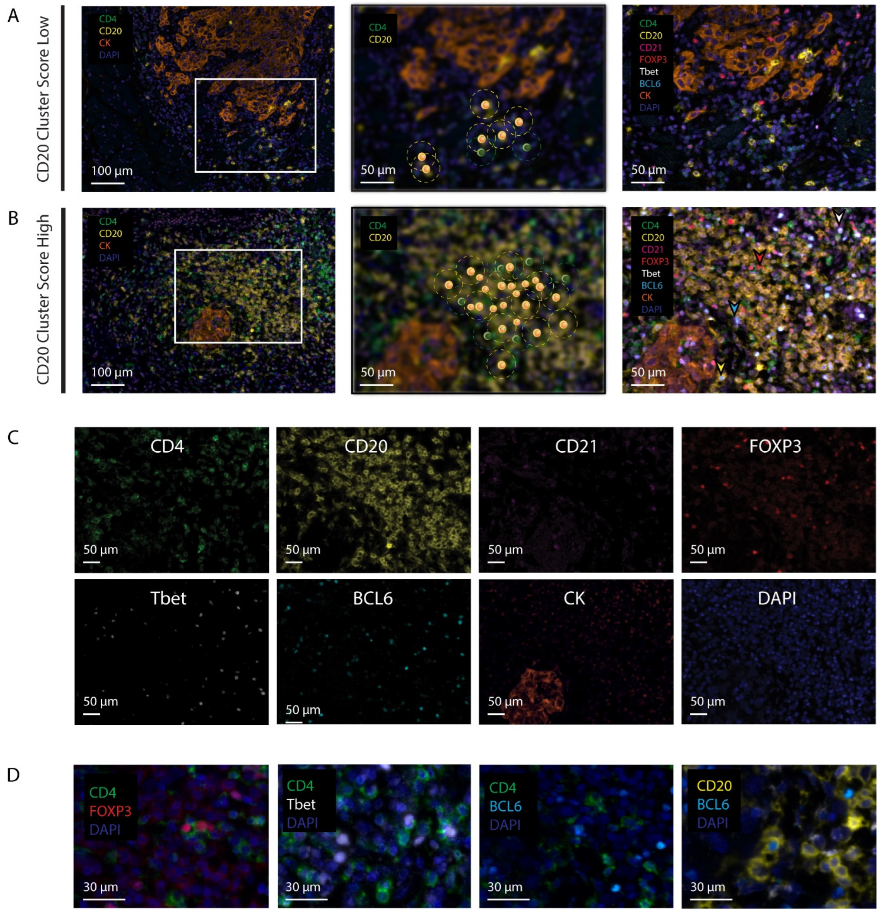 Cancers 14 04298 g001 550