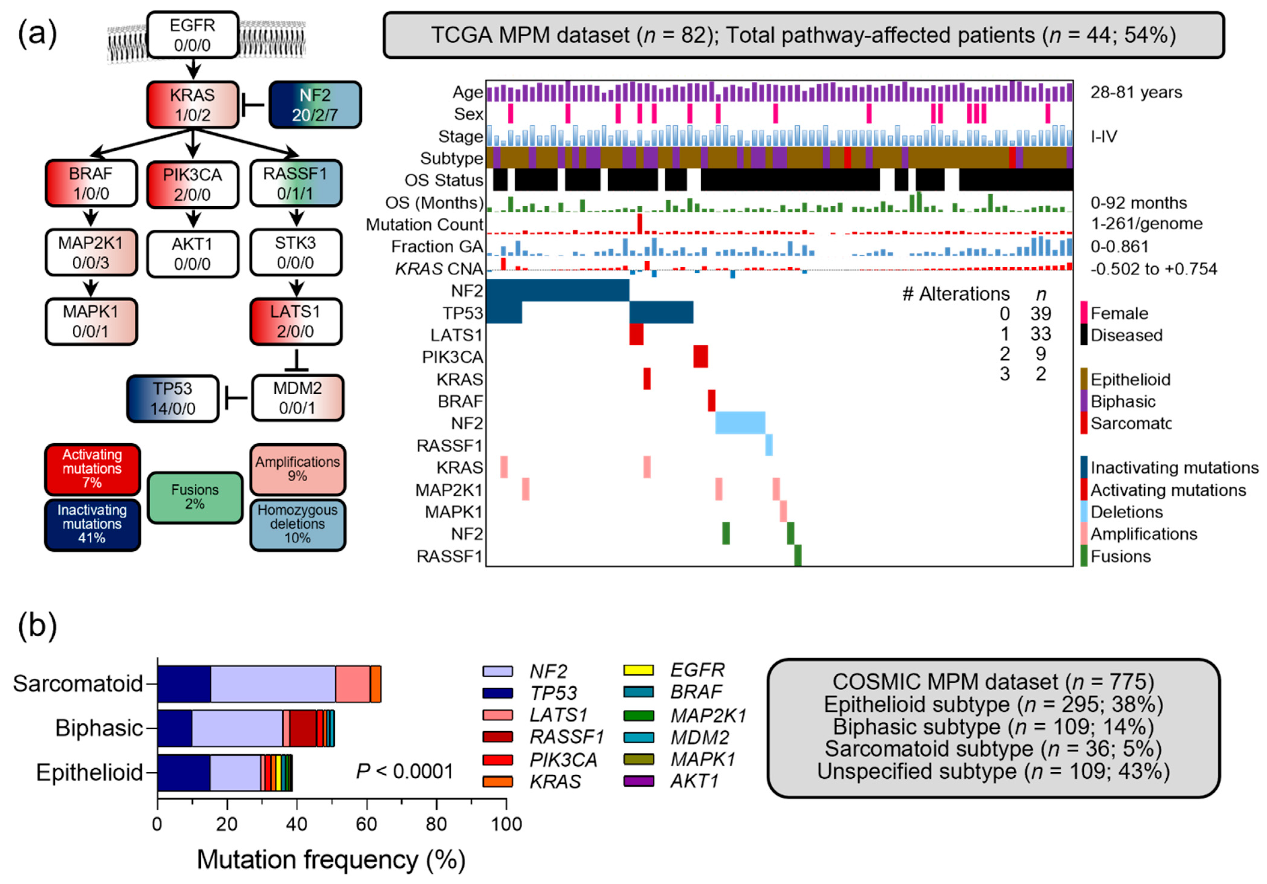 Cancers 14 04303 g001