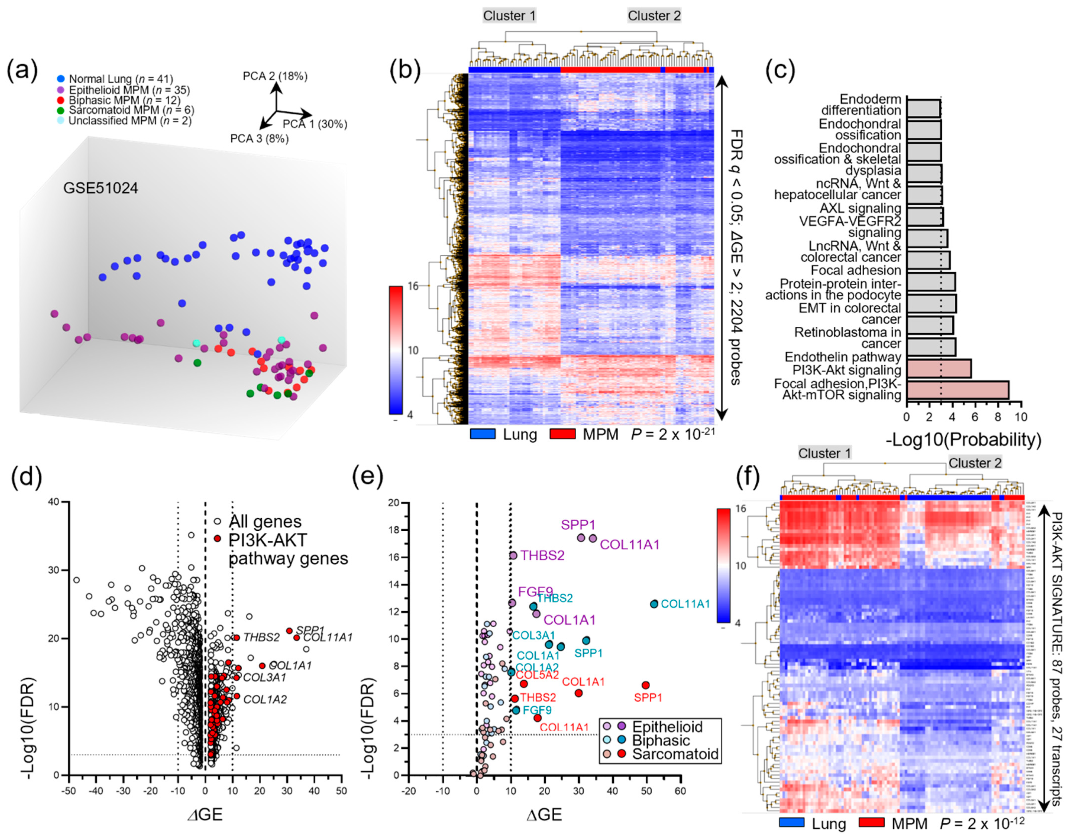 Cancers 14 04303 g002