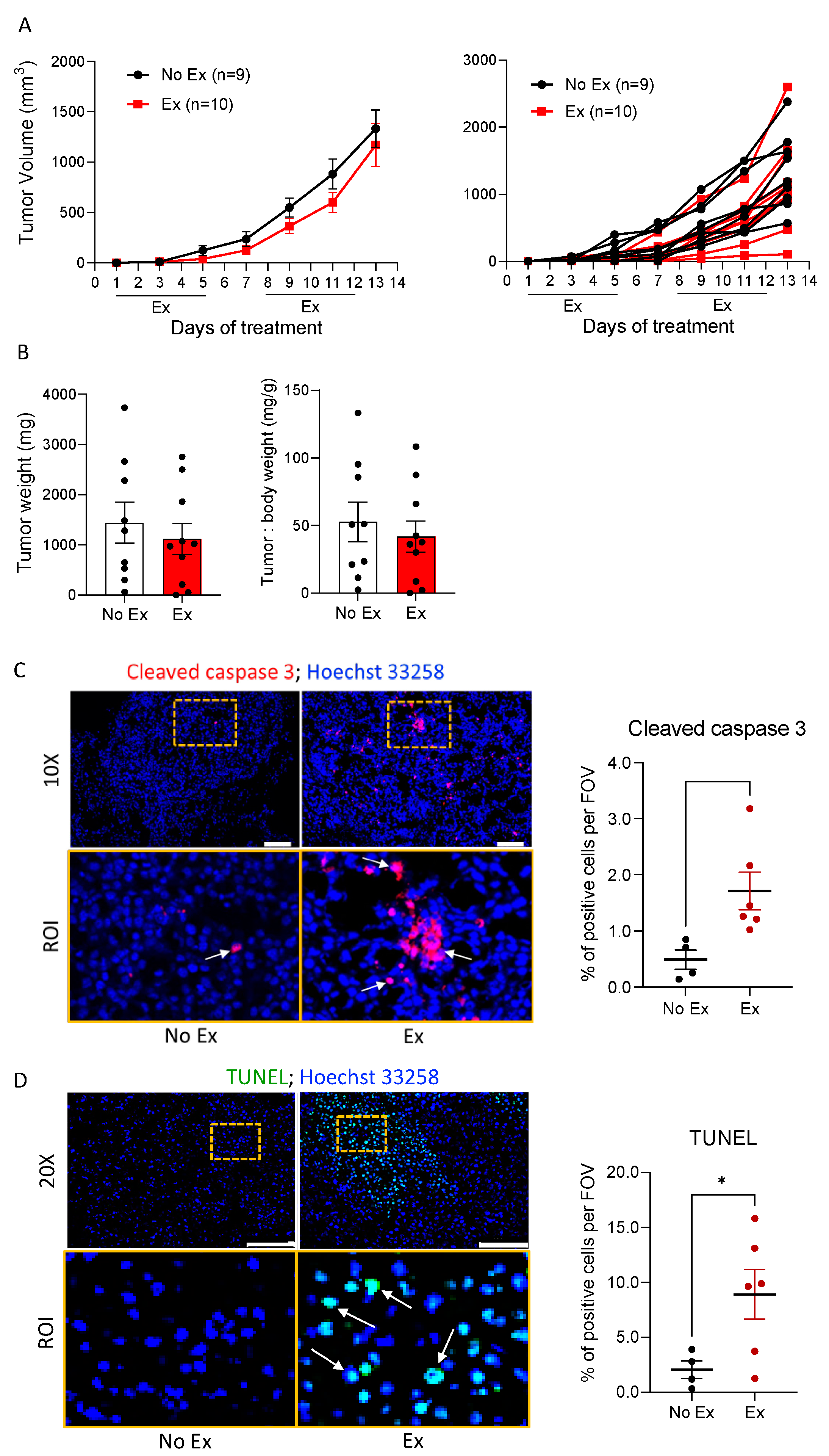 Cancers 14 04306 g003 550