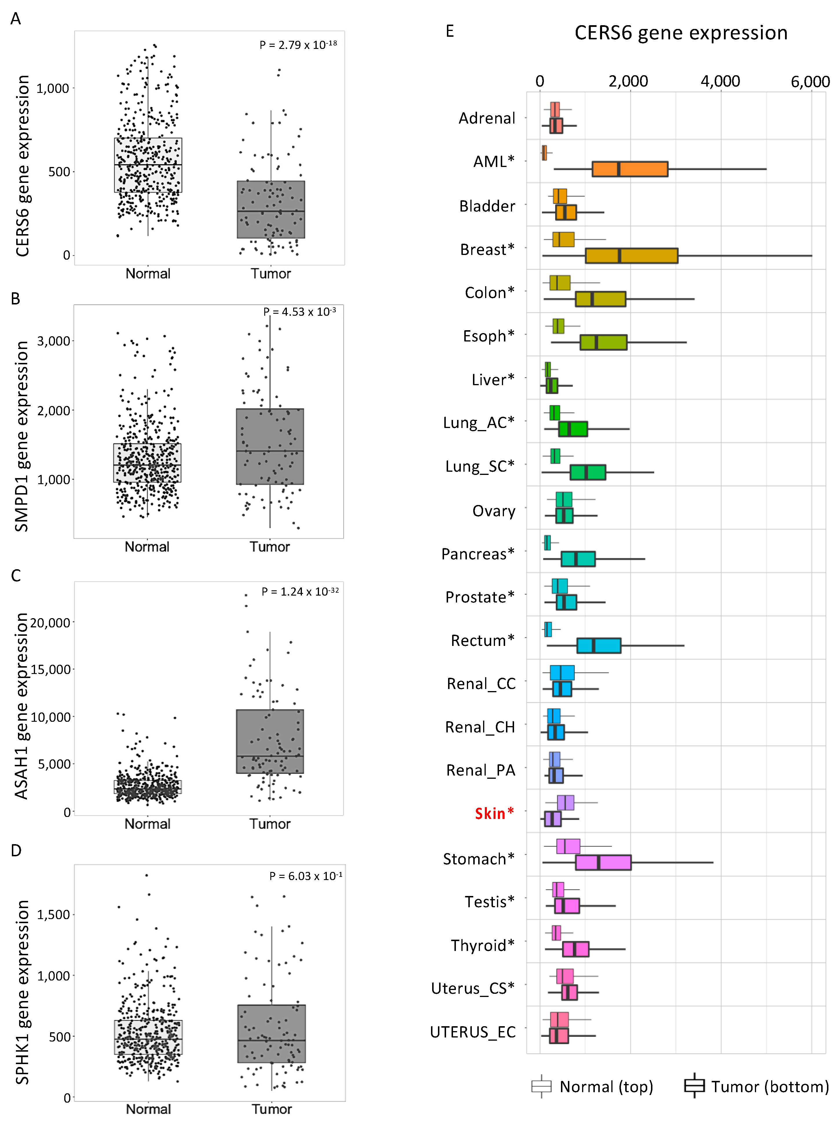 Cancers 14 04306 g006 550