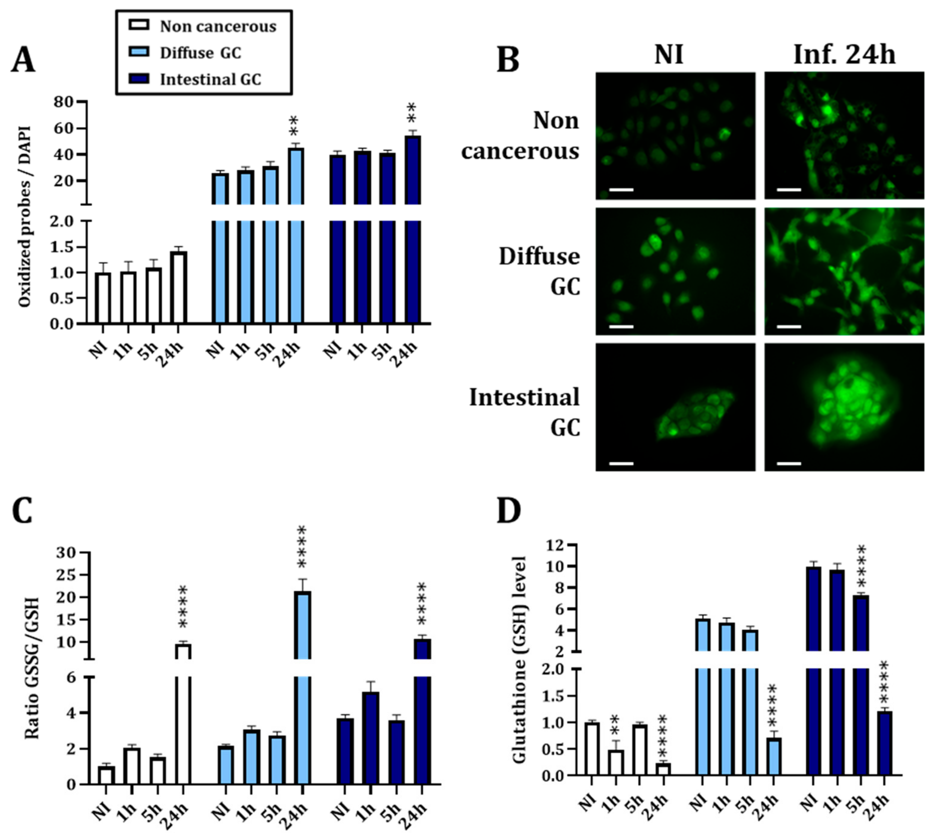 Cancers 14 04316 g002