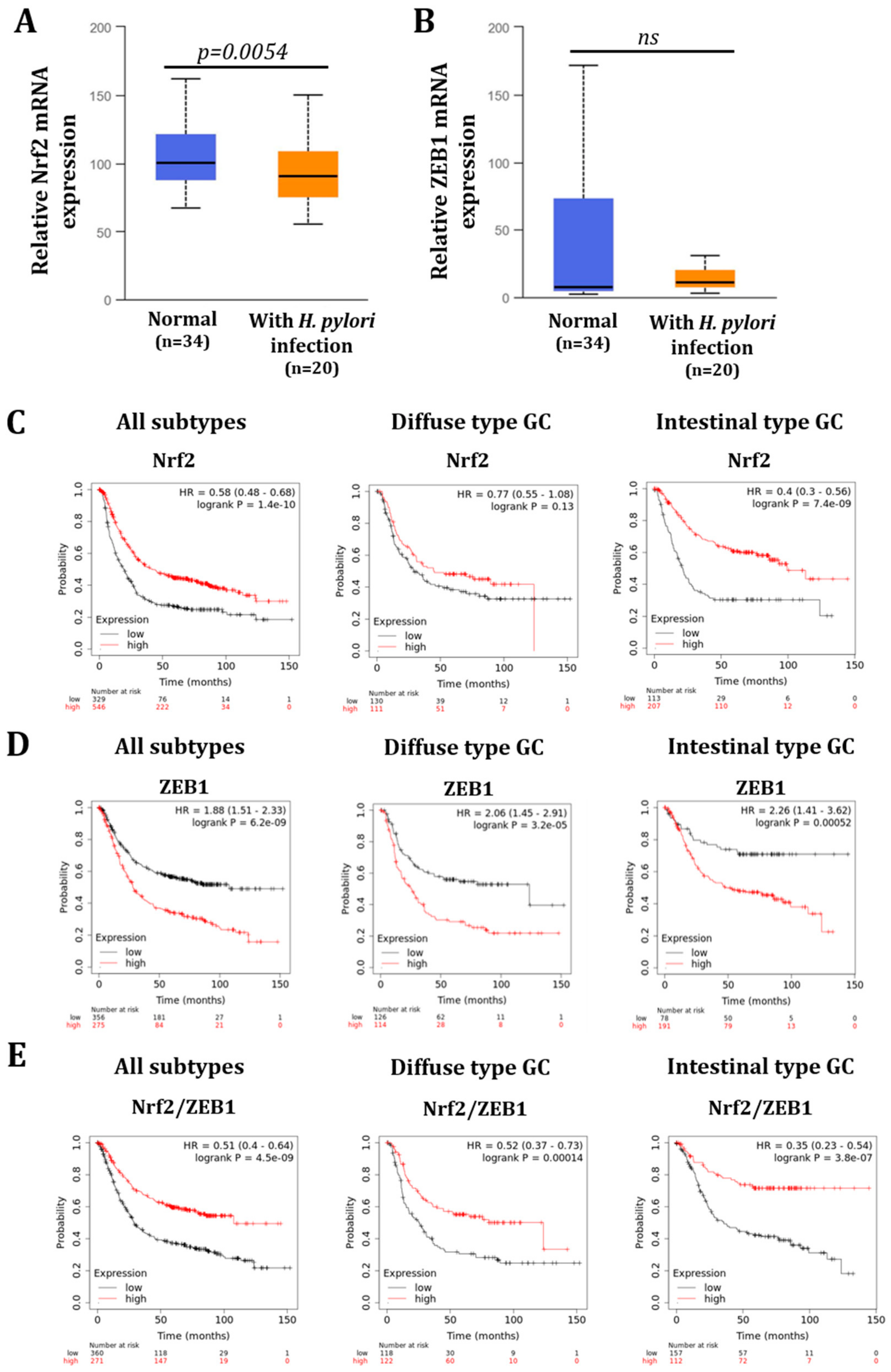 Cancers 14 04316 g007