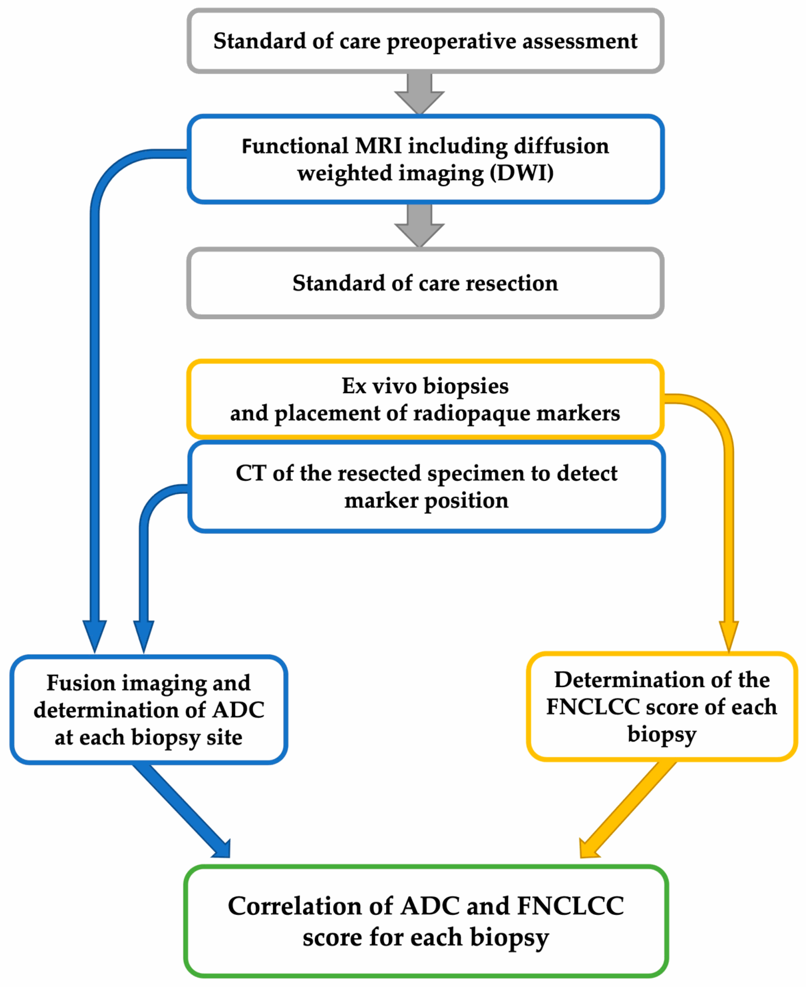 Cancers 14 04331 g001