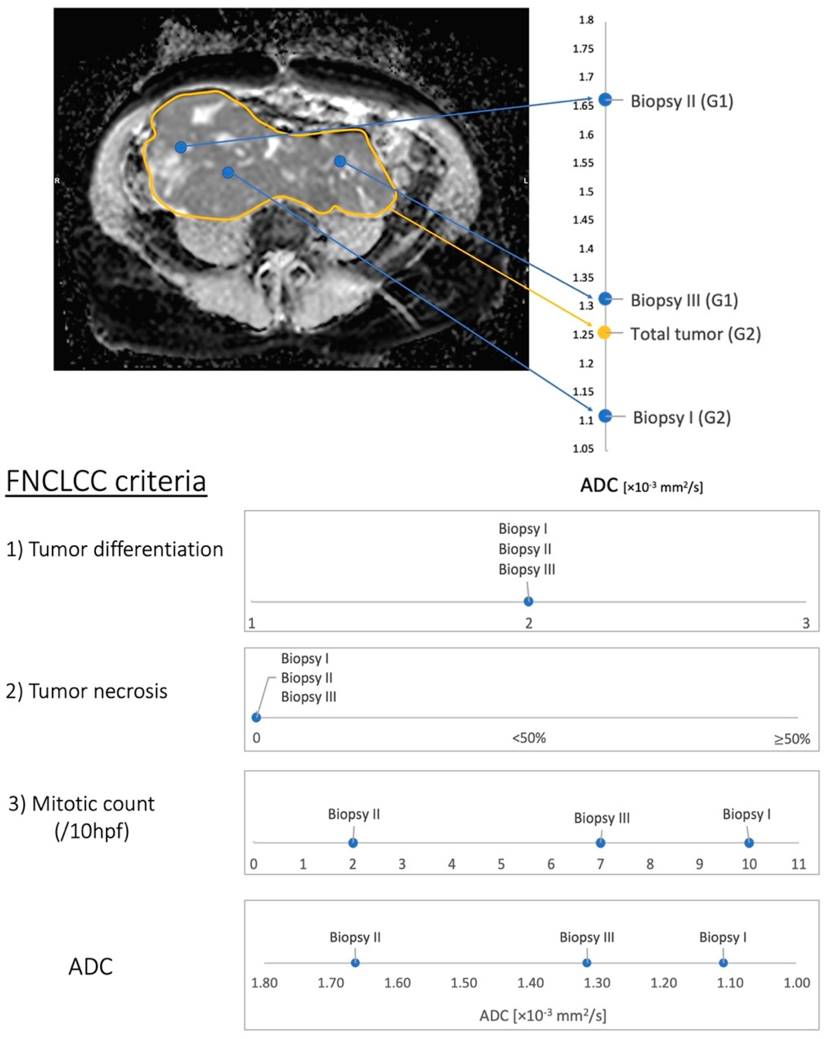 Cancers 14 04331 g004