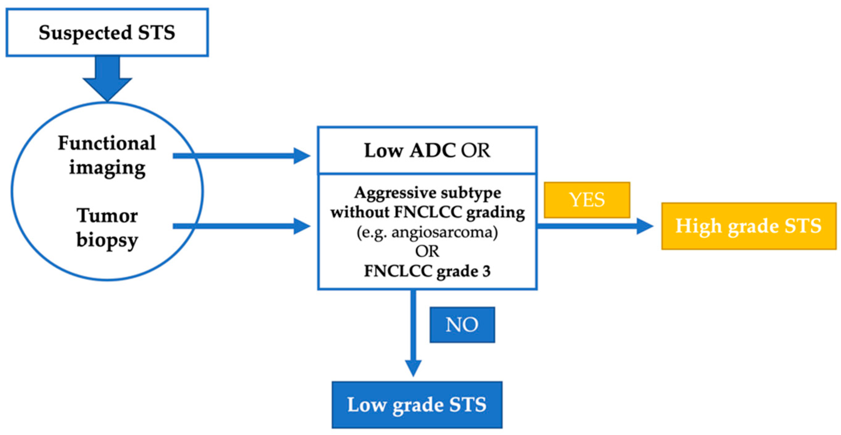 Cancers 14 04331 g005