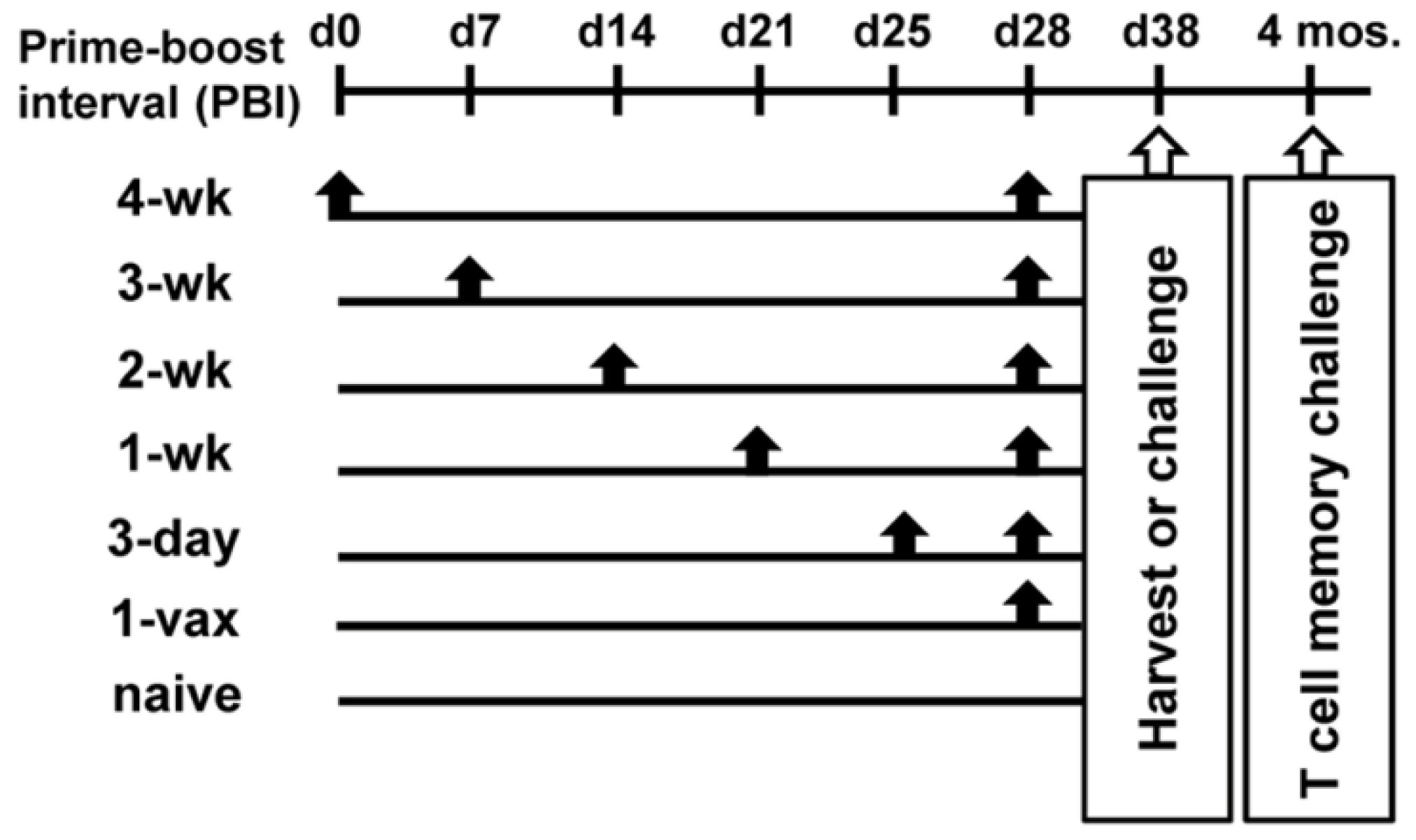 Cancers 14 04339 g001 550