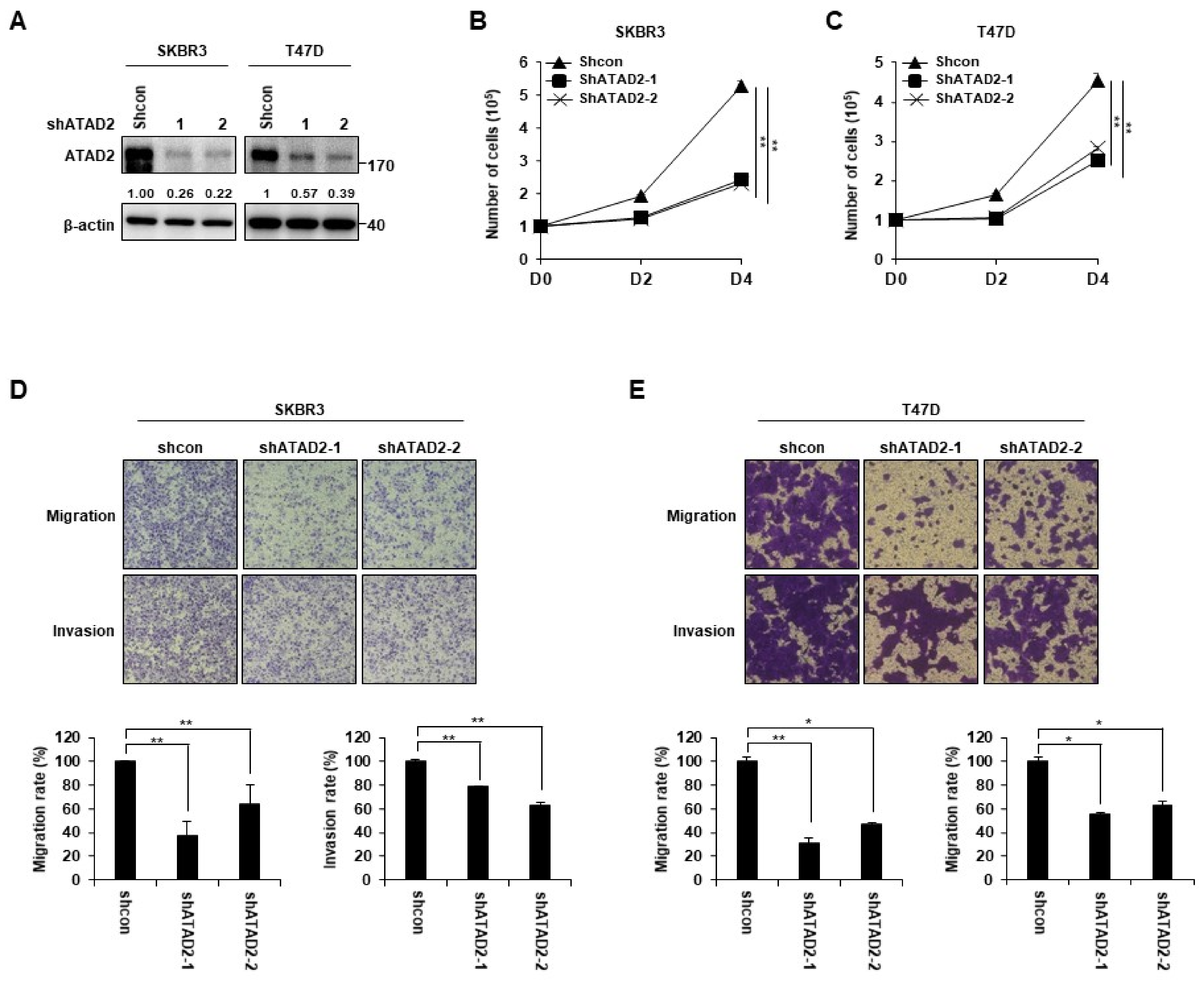 Cancers 14 04345 g002