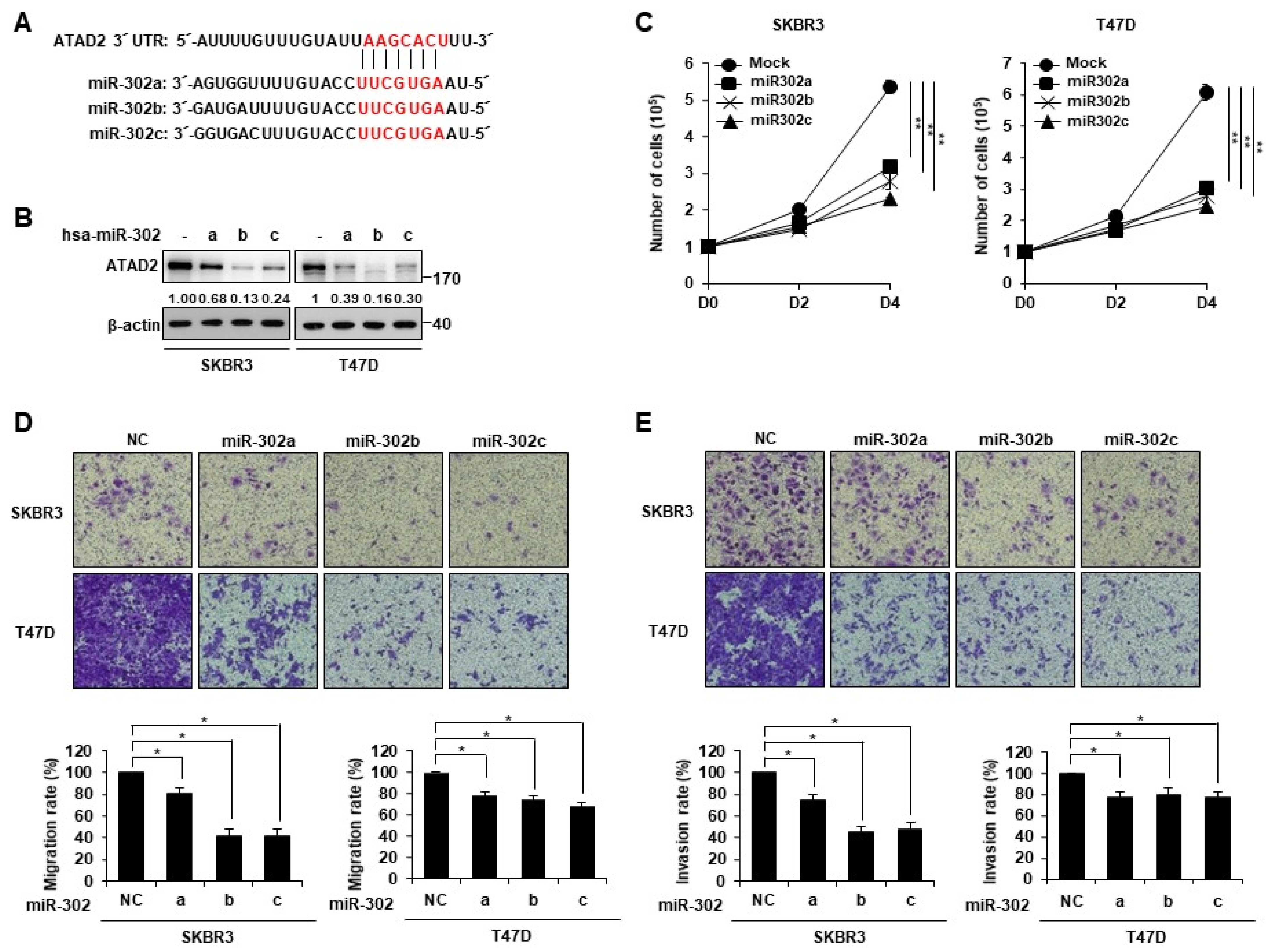 Cancers 14 04345 g003