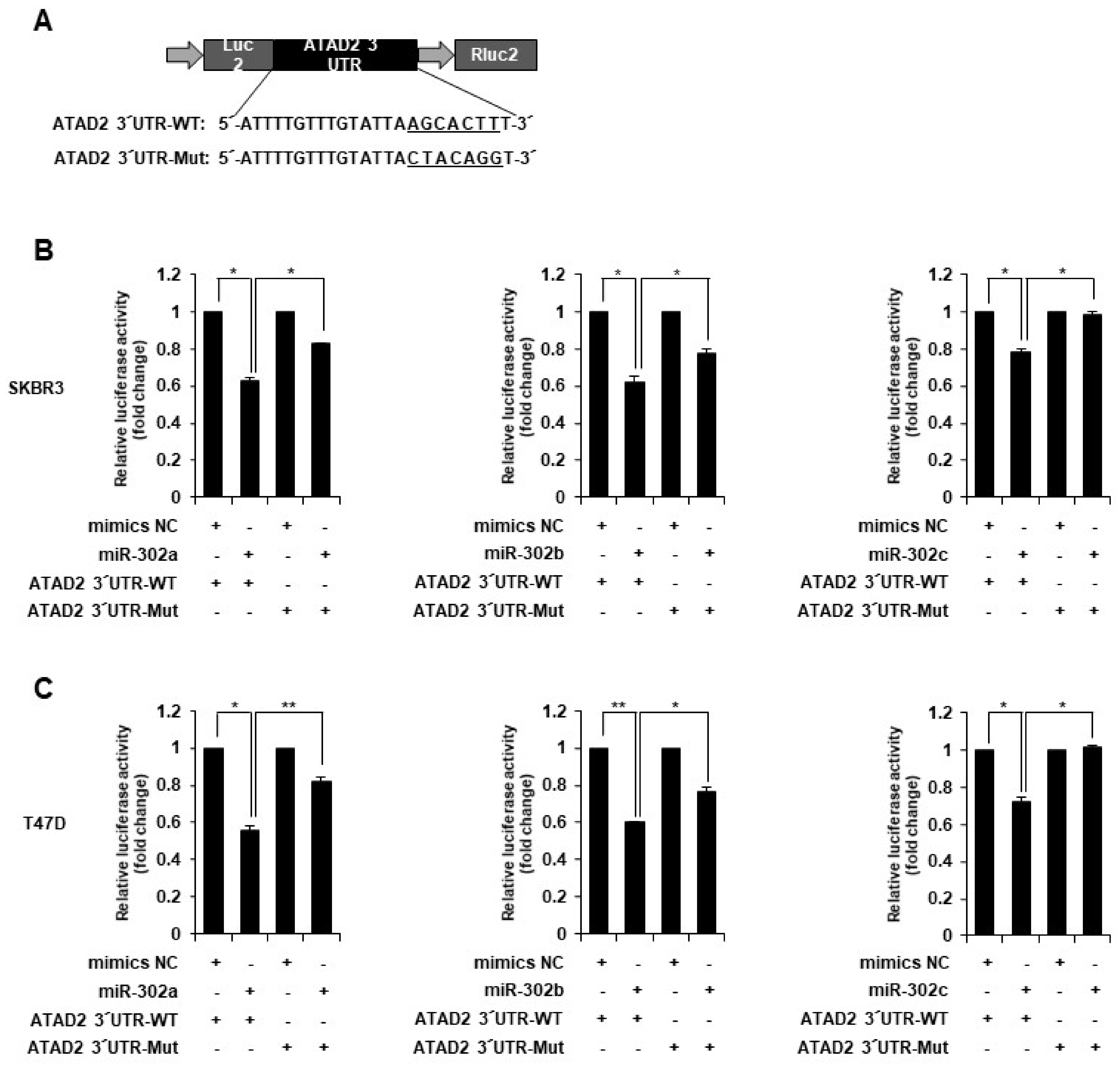 Cancers 14 04345 g004