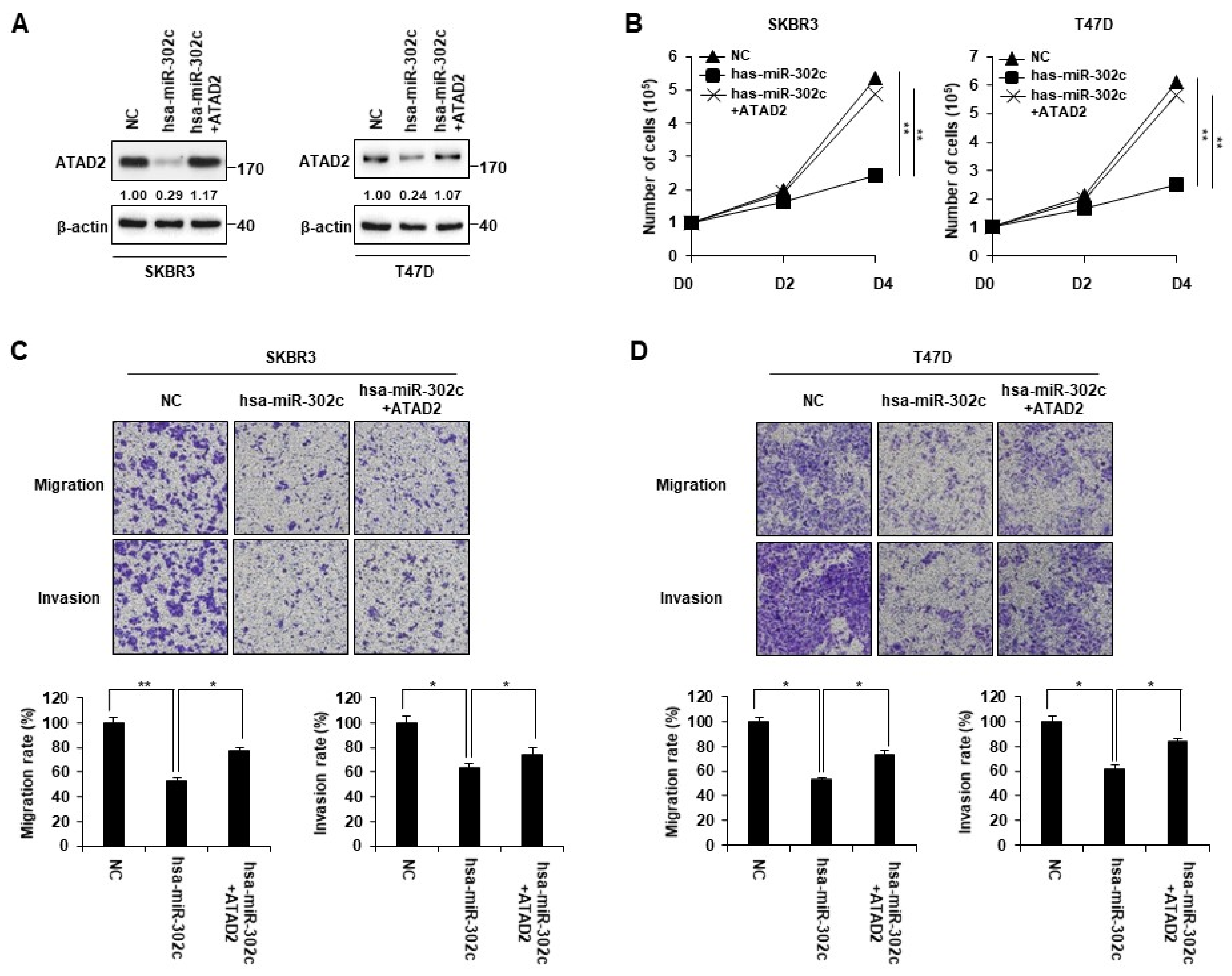 Cancers 14 04345 g005