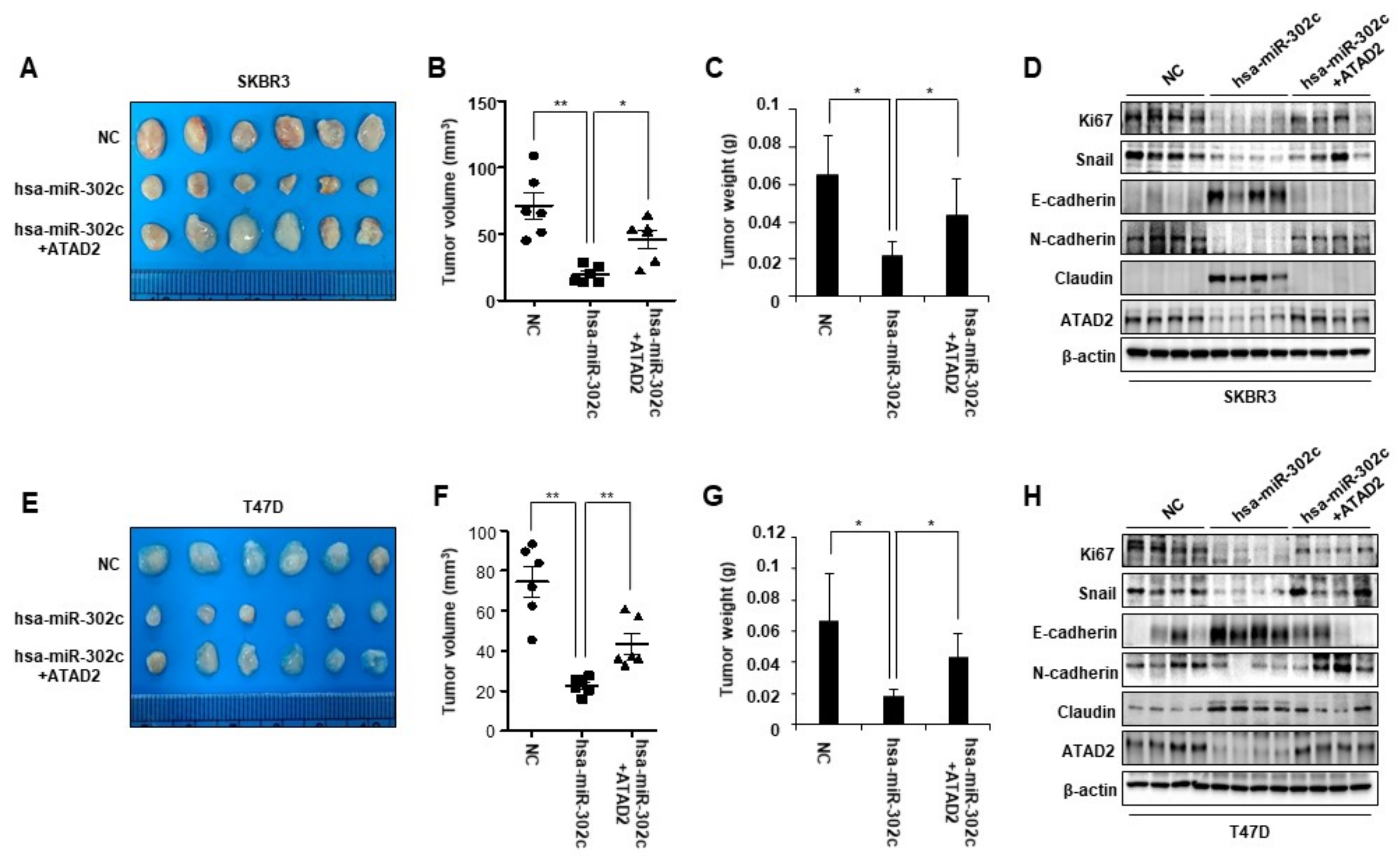 Cancers 14 04345 g006