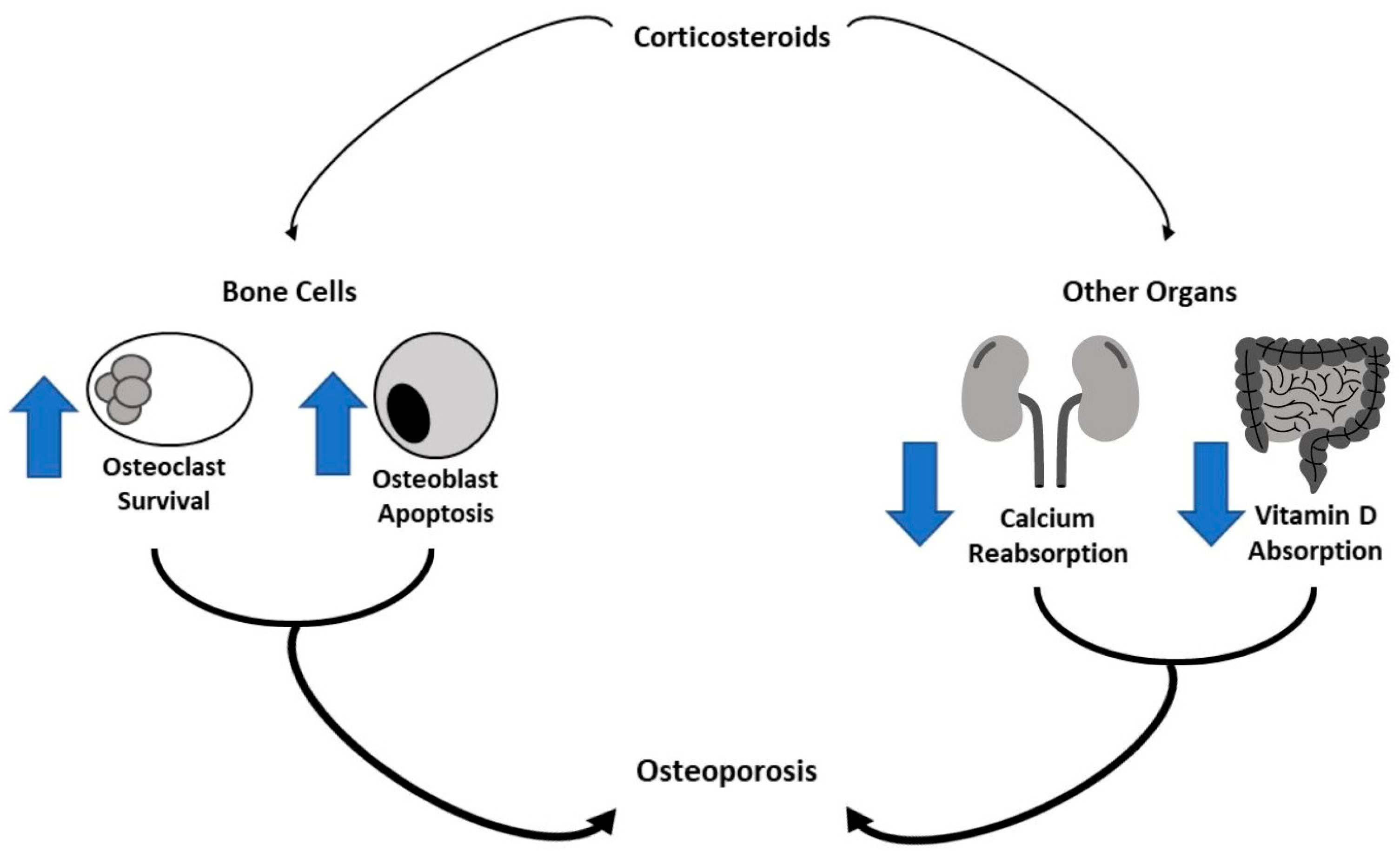 Cancers 14 04349 g001