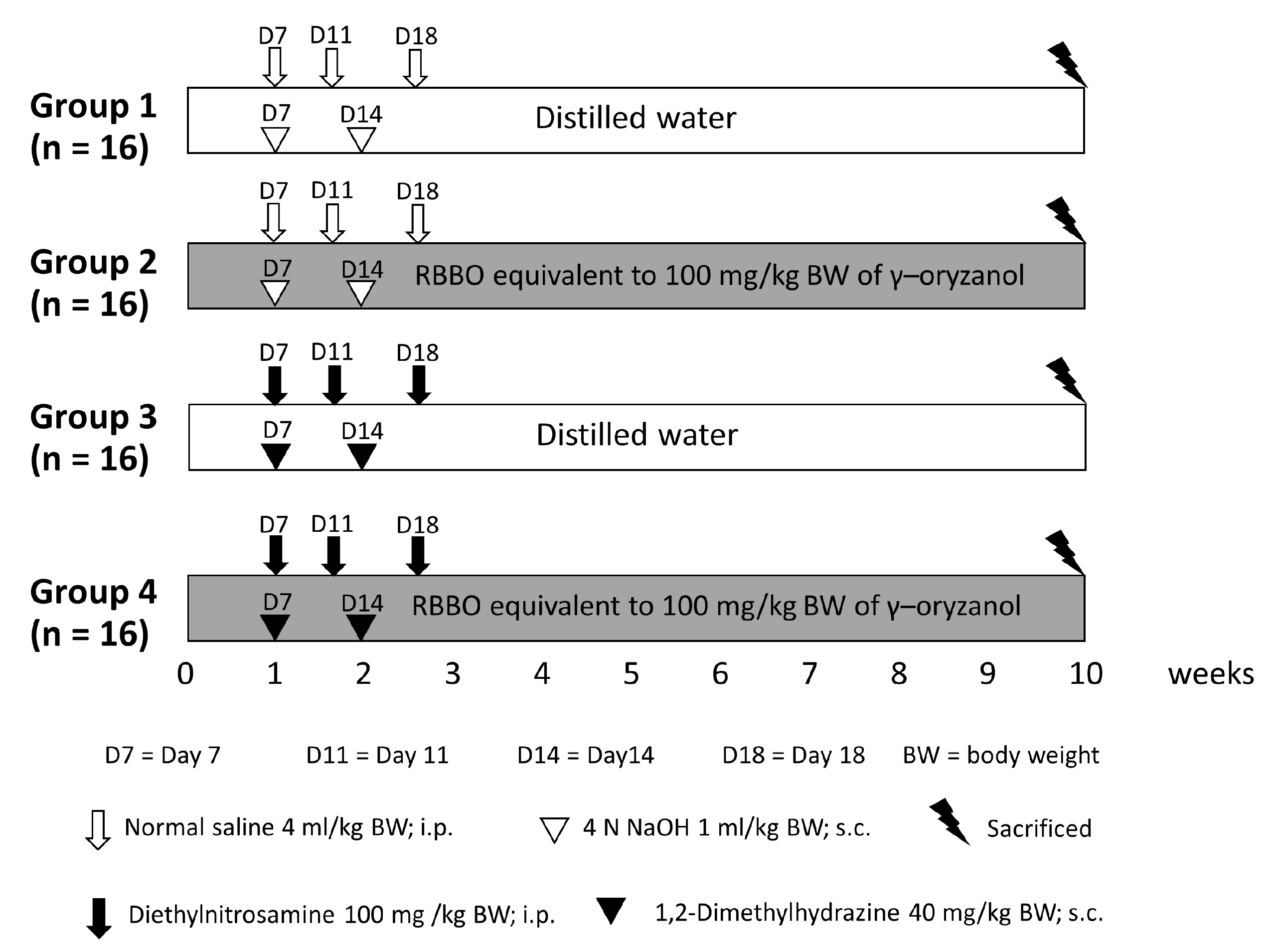Cancers 14 04358 g001