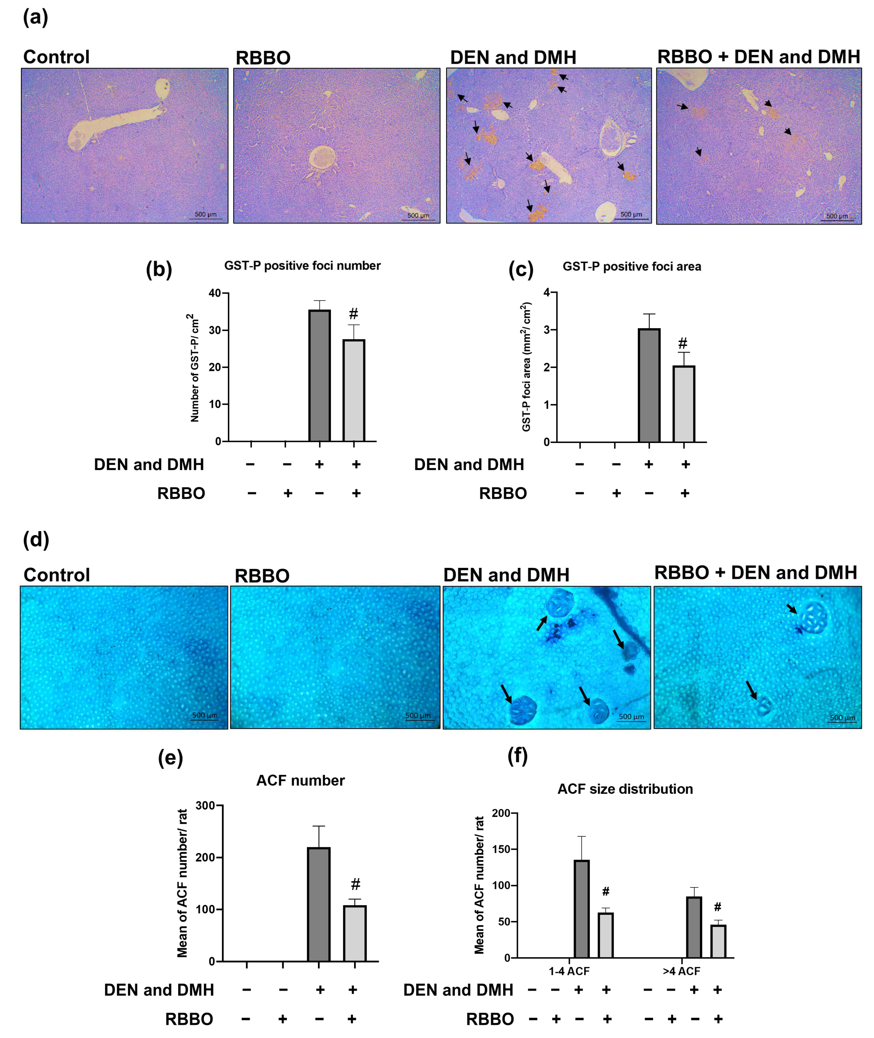 Cancers 14 04358 g002