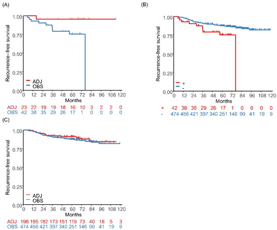 PDF) ACTN4 gene amplification is a predictive biomarker for