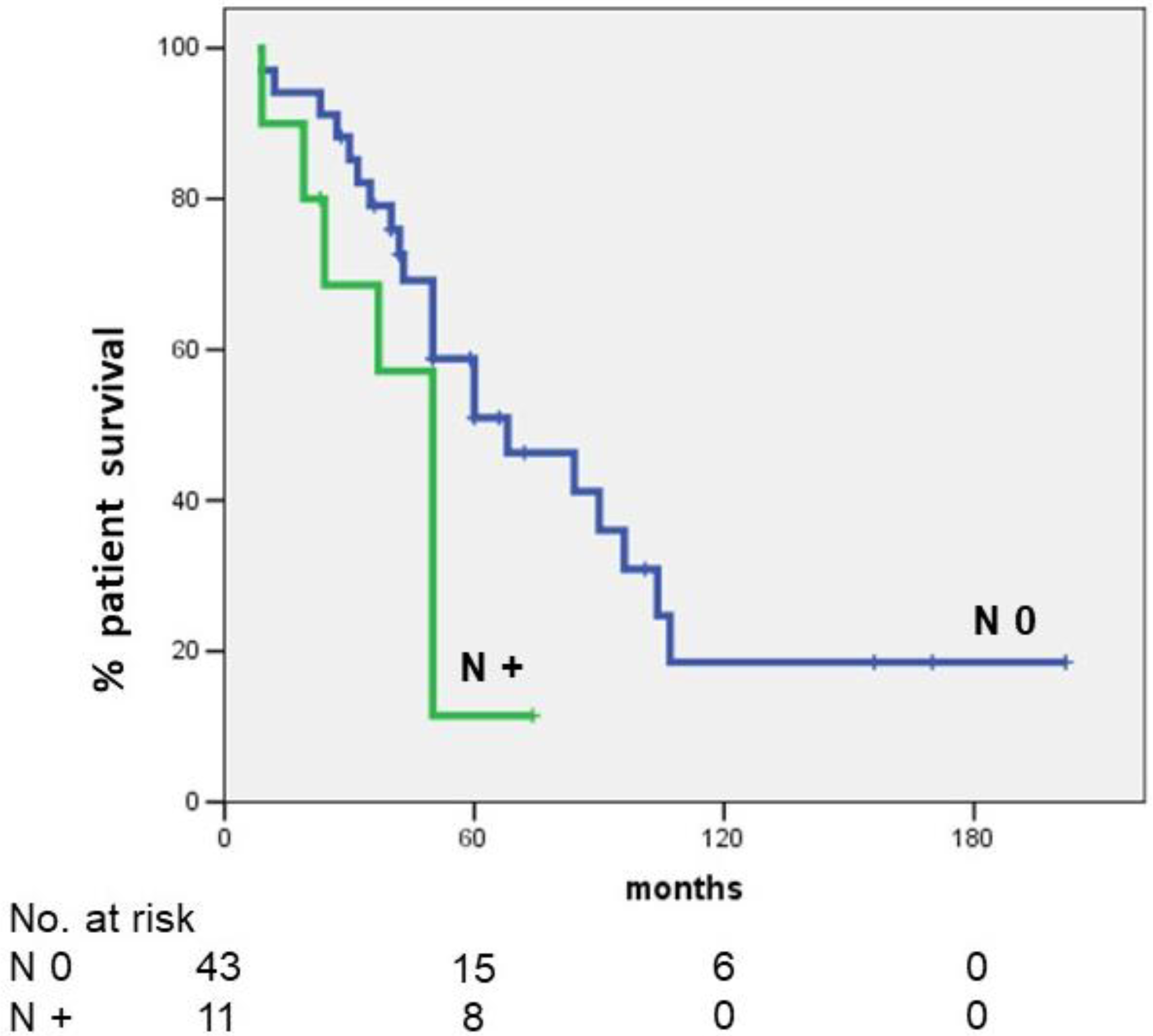 Cancers 14 04370 g002 Cancers 14 04370 g002