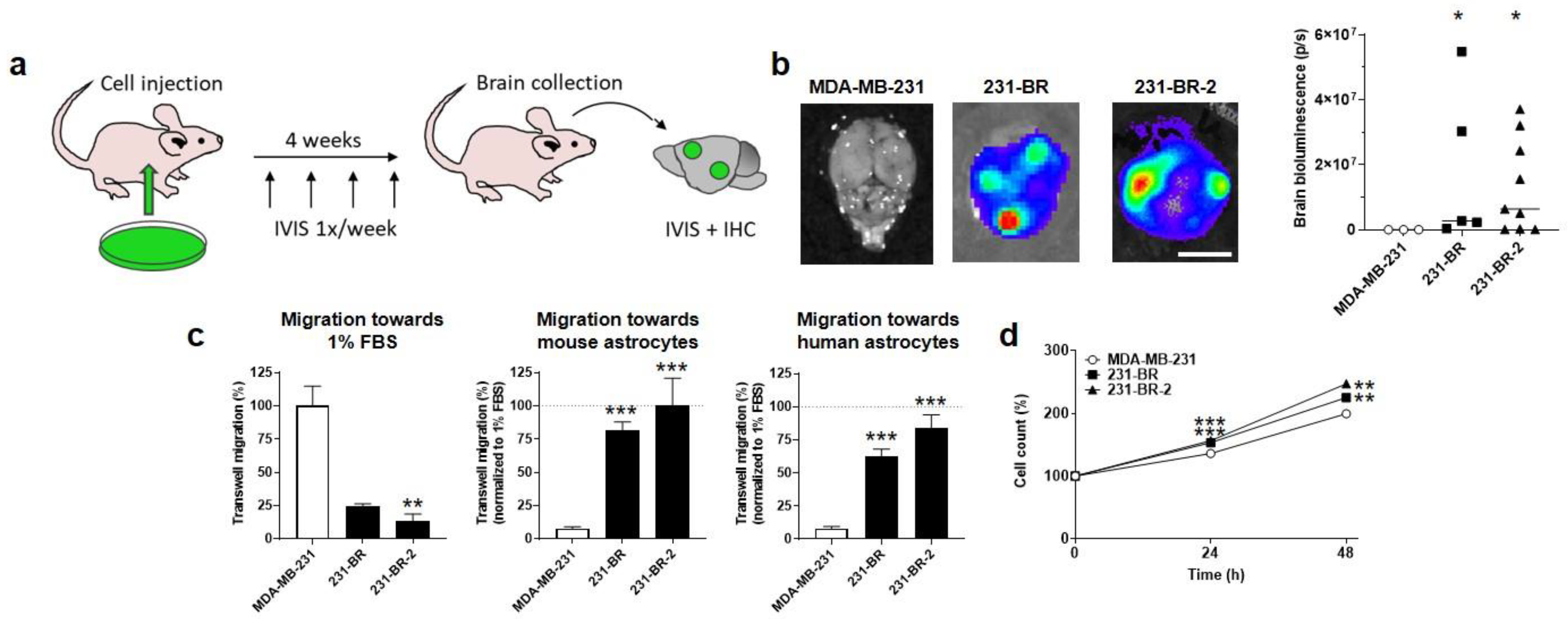 Cancers 14 04371 g001 550