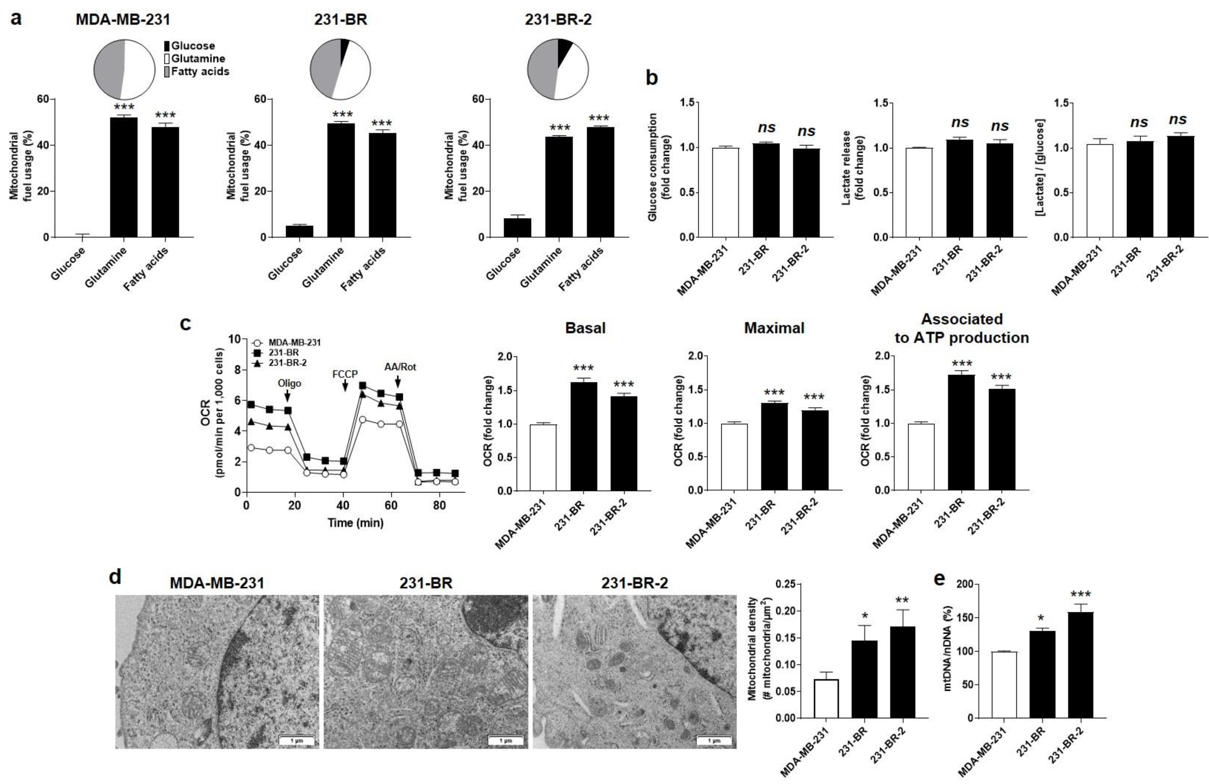 Cancers 14 04371 g002 550