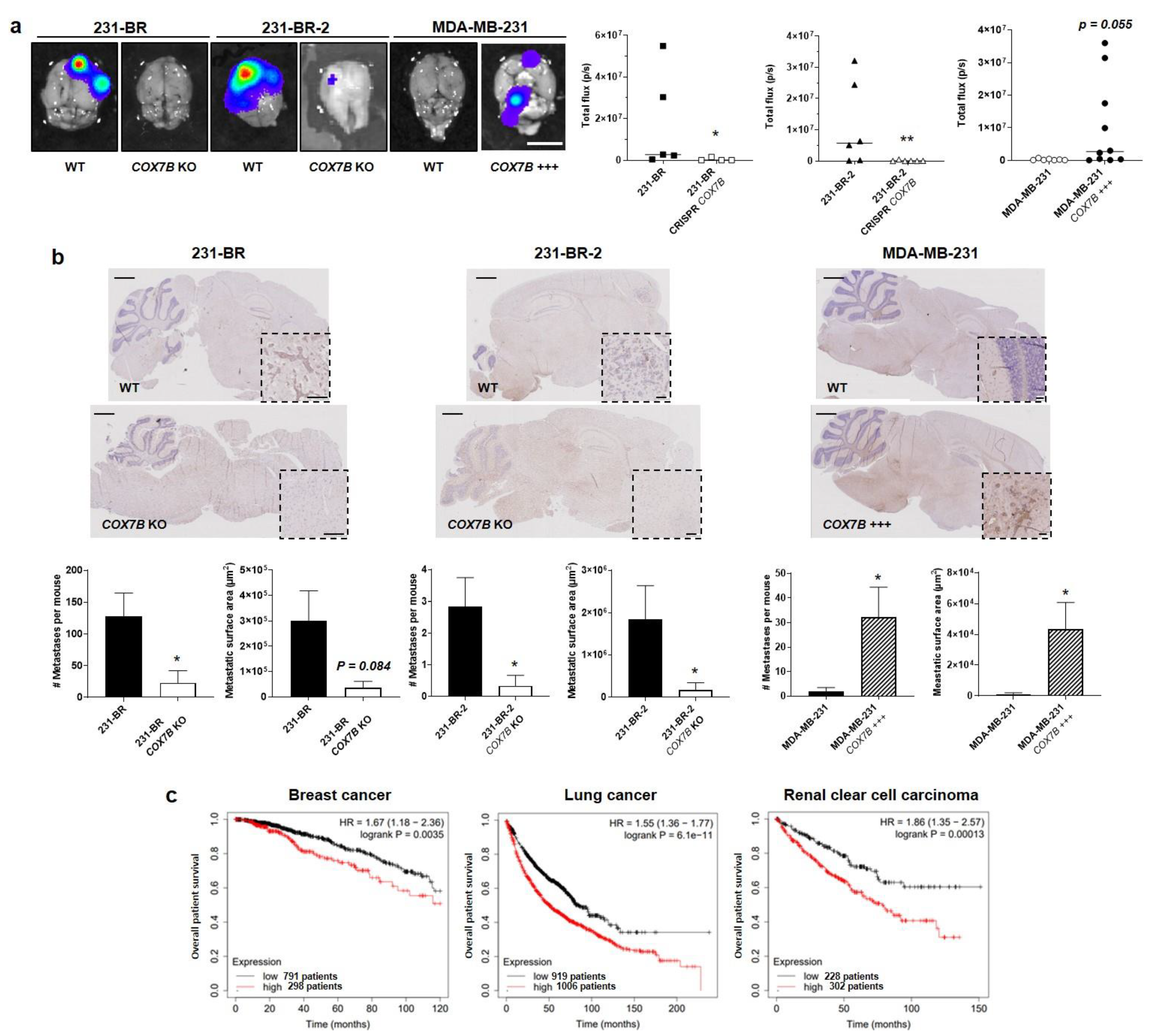 Cancers 14 04371 g006 550