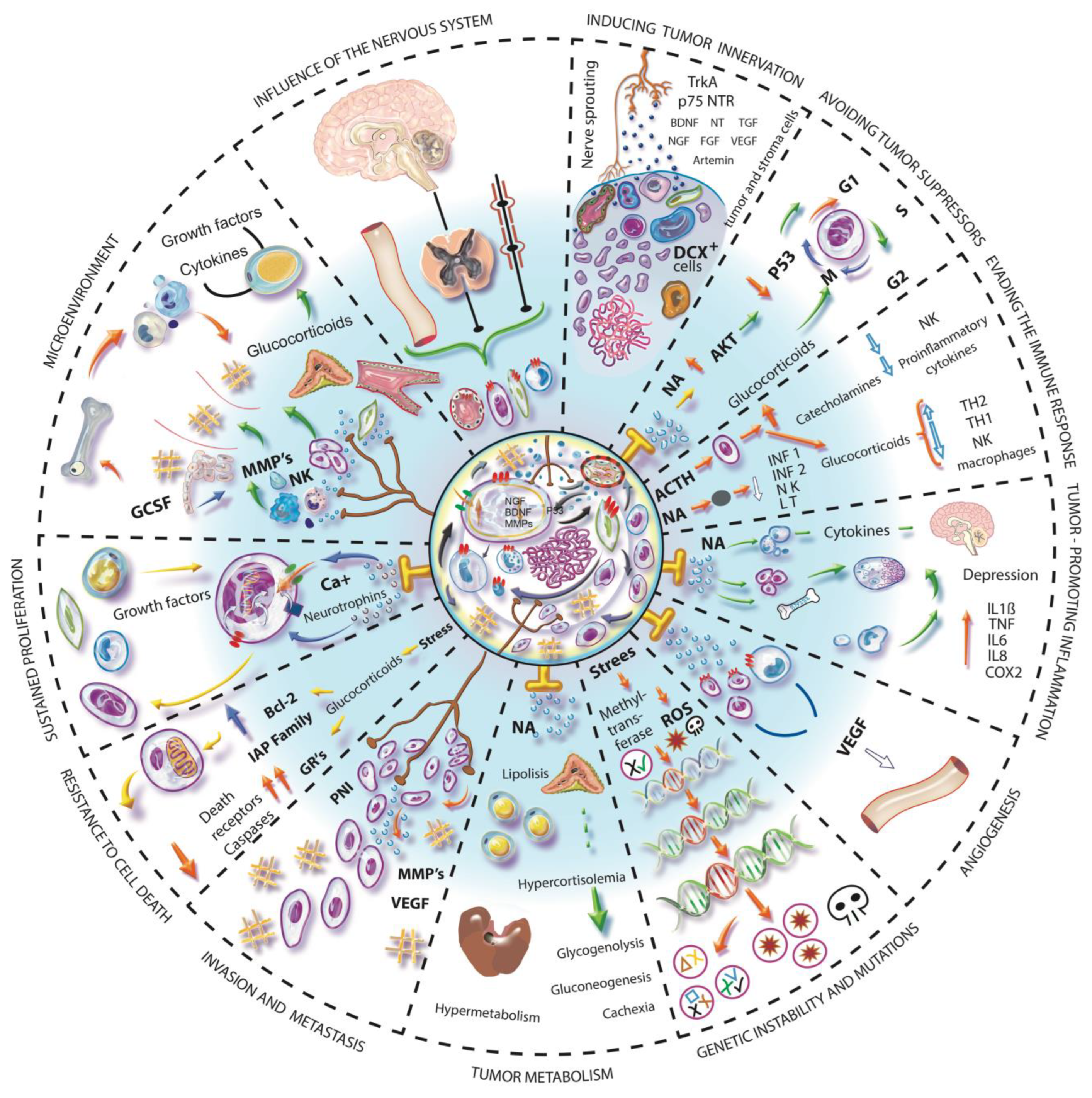 Cancers 14 04372 g002