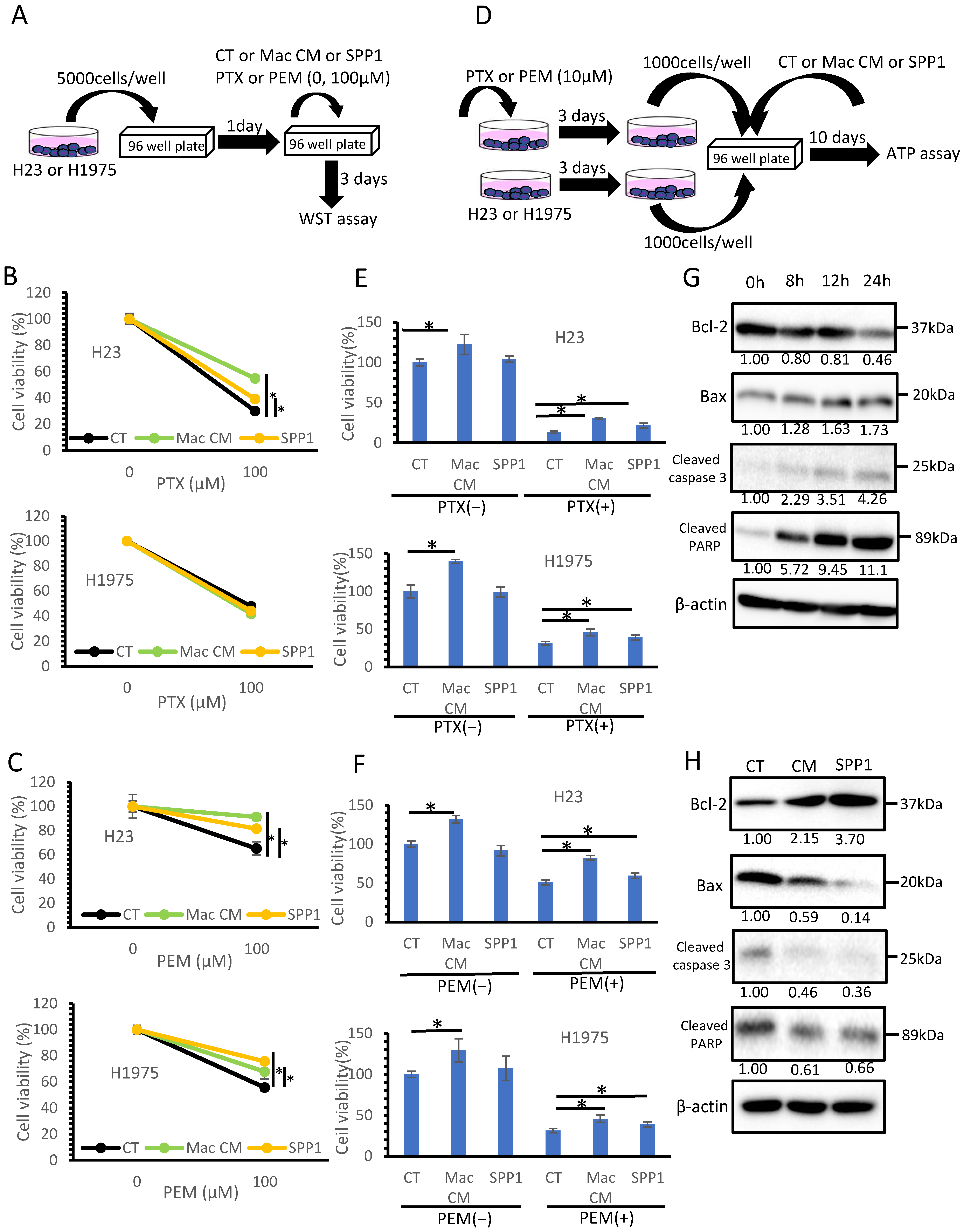 Cancers 14 04374 g006 Cancers 14 04374 g006