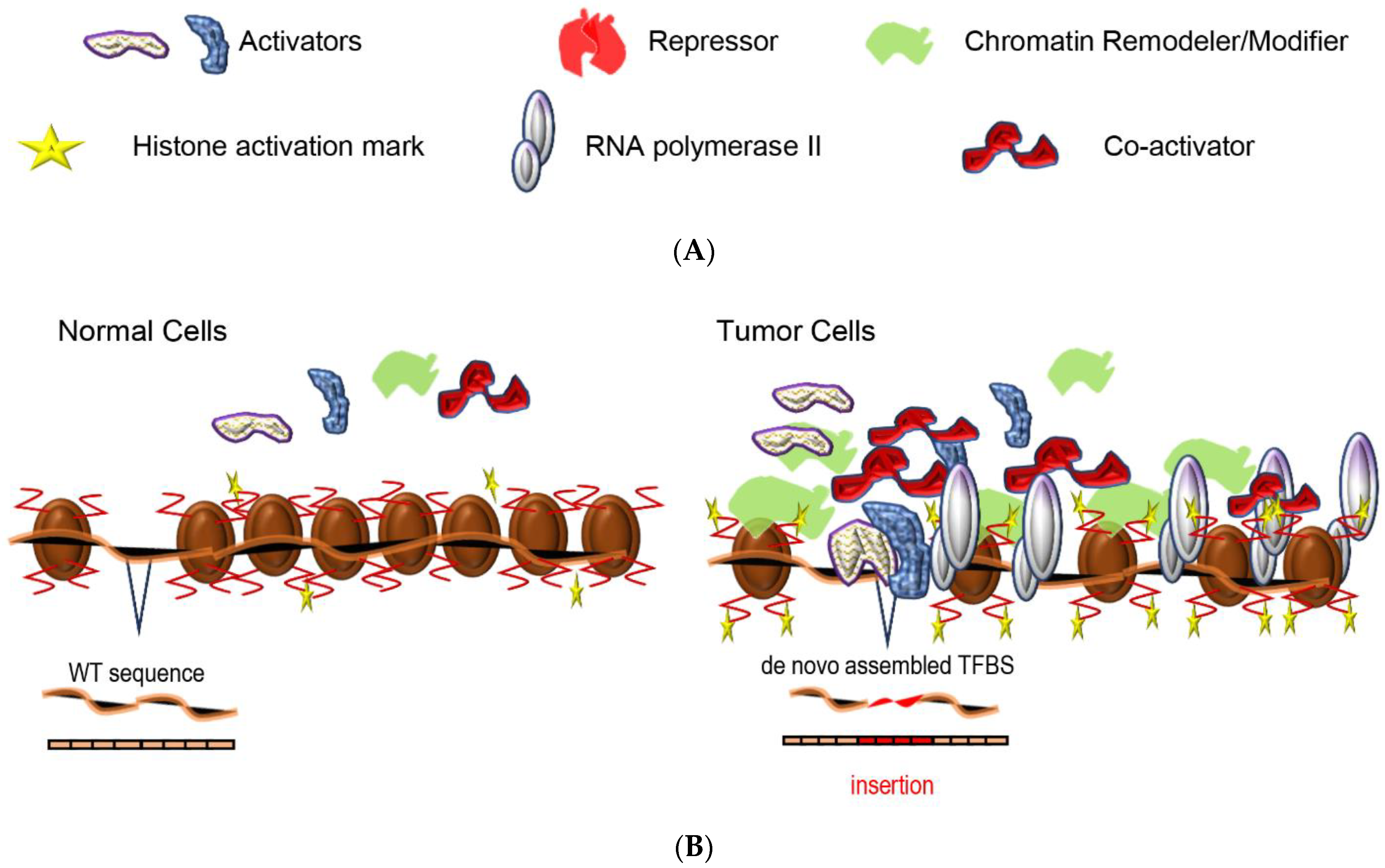 Cancers 14 04375 g001a