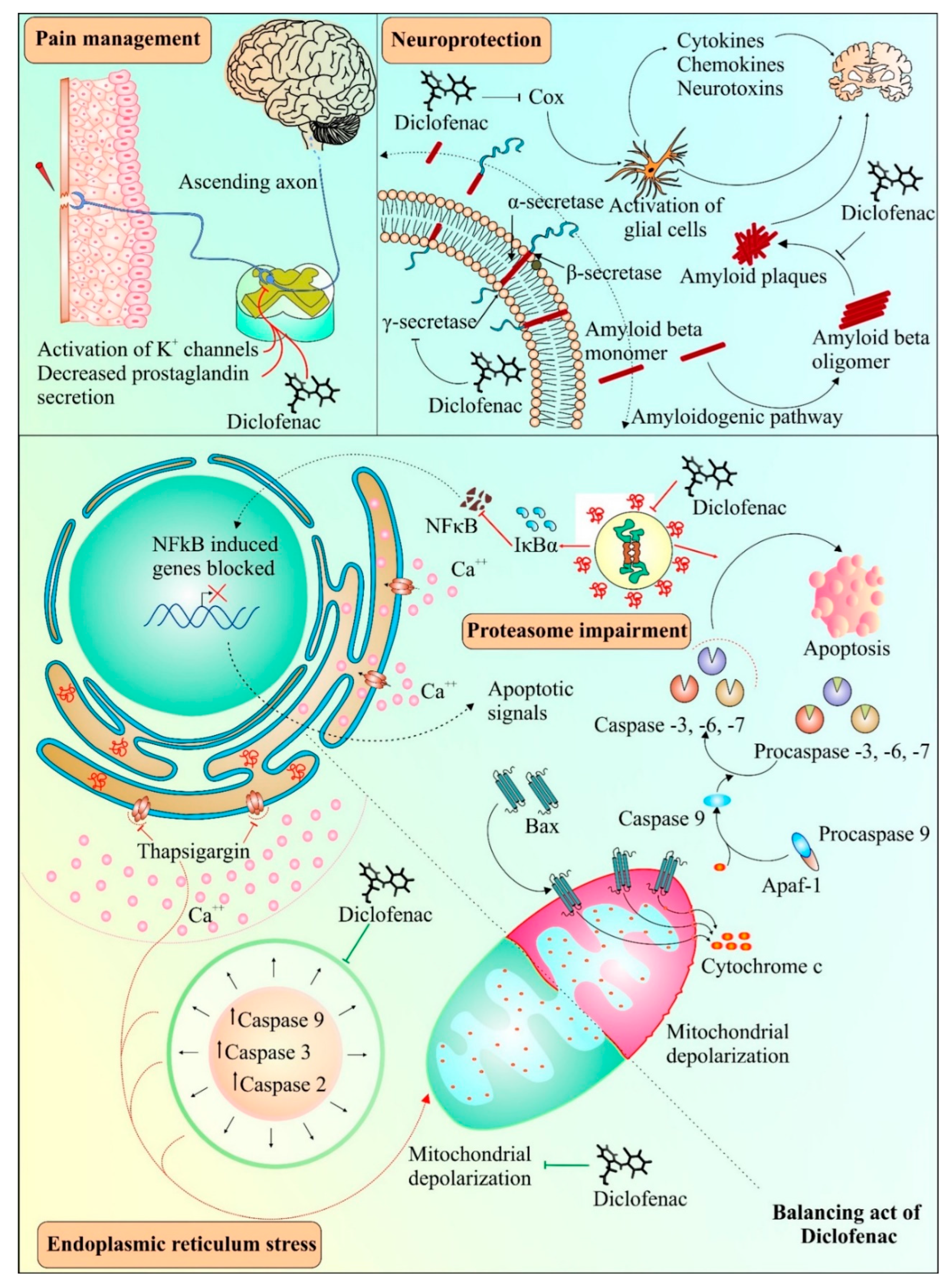 Cancers 14 04385 g003